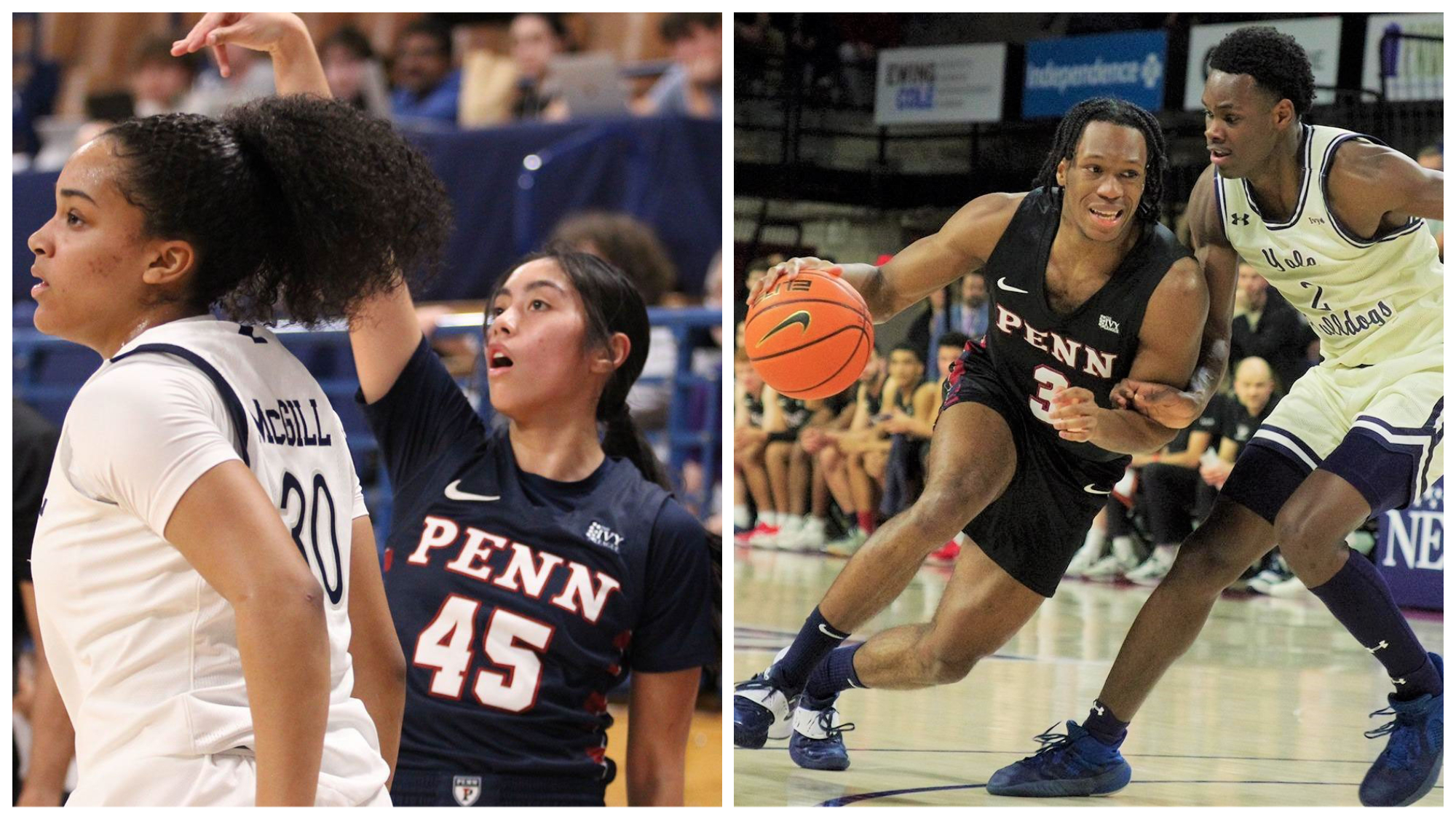 In two action shots, Padilla watches the basketball ball after she shoots it. Dingle leans and dribbles the ball to the basket, rushing past a Yale defender.
