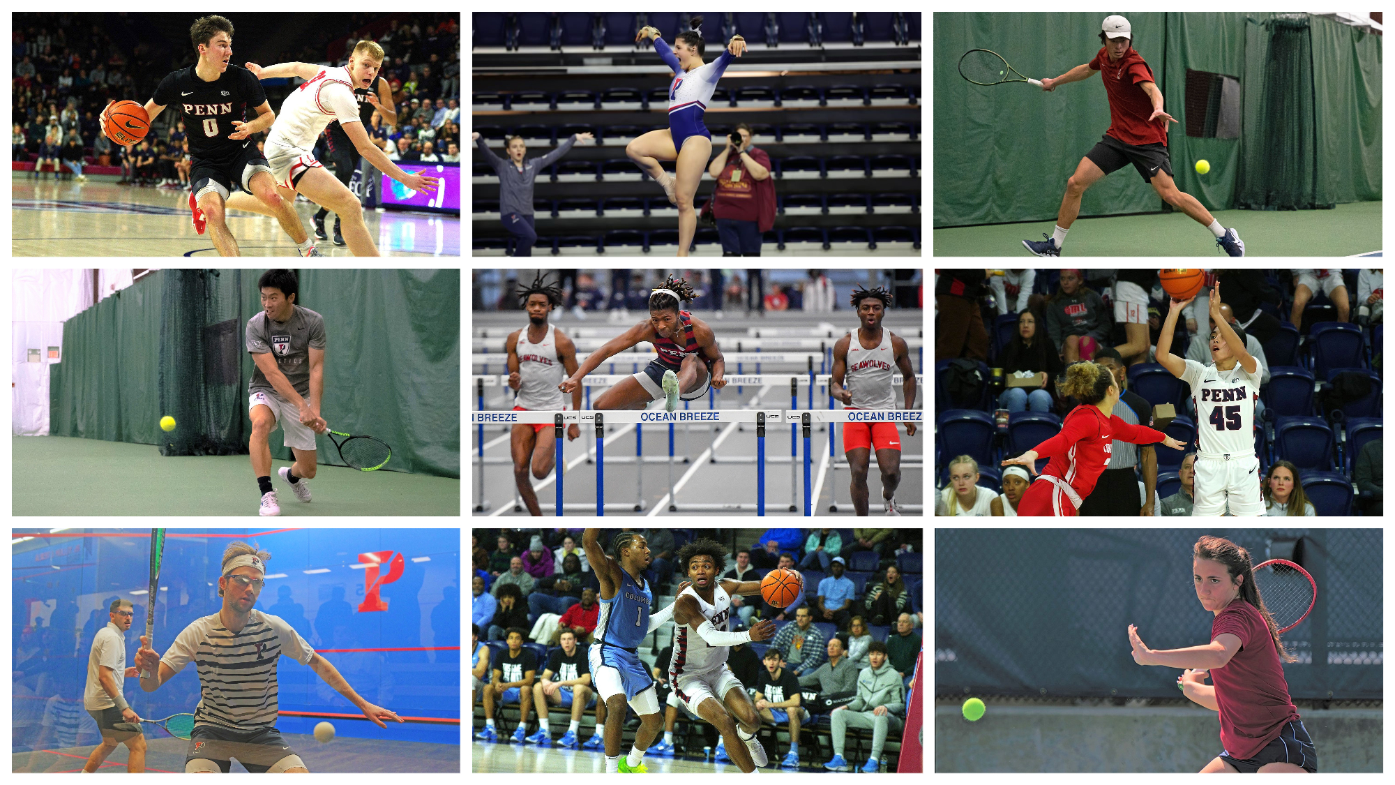 A grid of action shots of Penn's athletes competing in basketball, gymnastics, tennis, track and field, and squash.