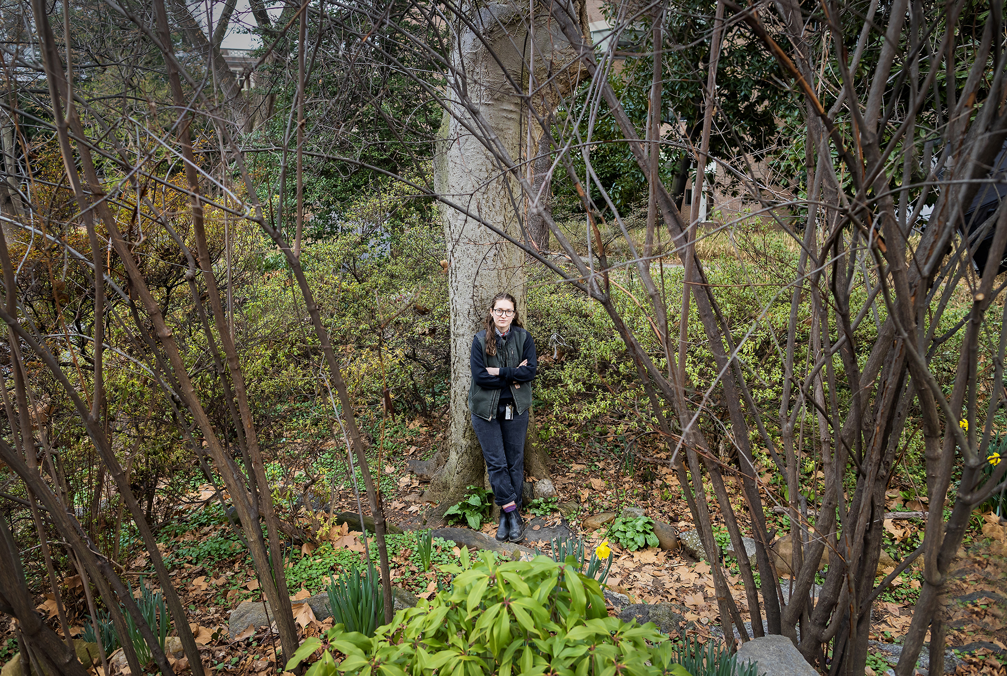 Person leans against a tree in a garden, framed by winter branches