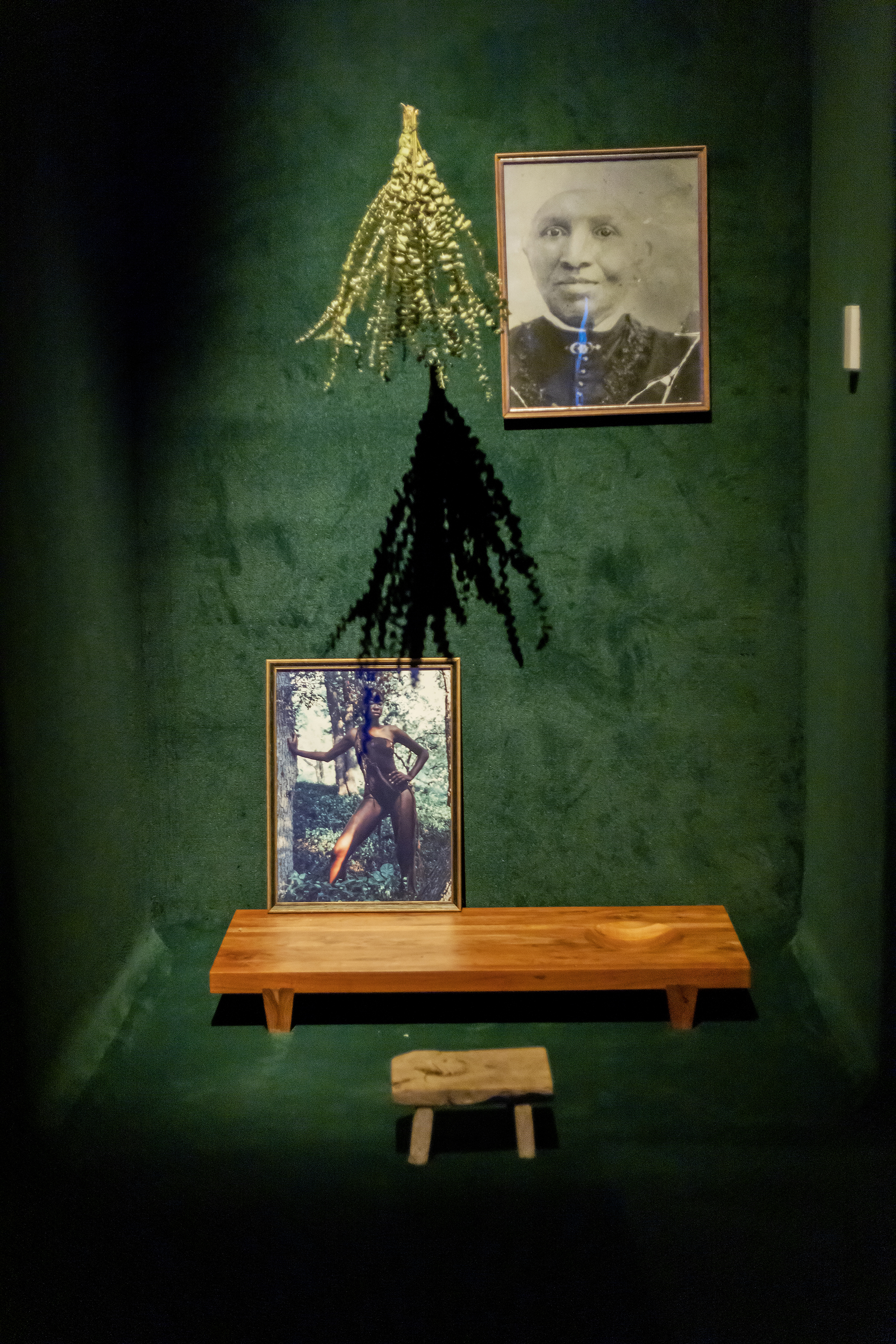 Two framed photographs placed against a velvet backdrop, complemented by foliage and a wood desk.