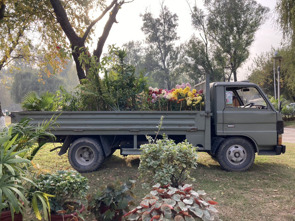 A cargo truck with a bed of flowers and ferns.