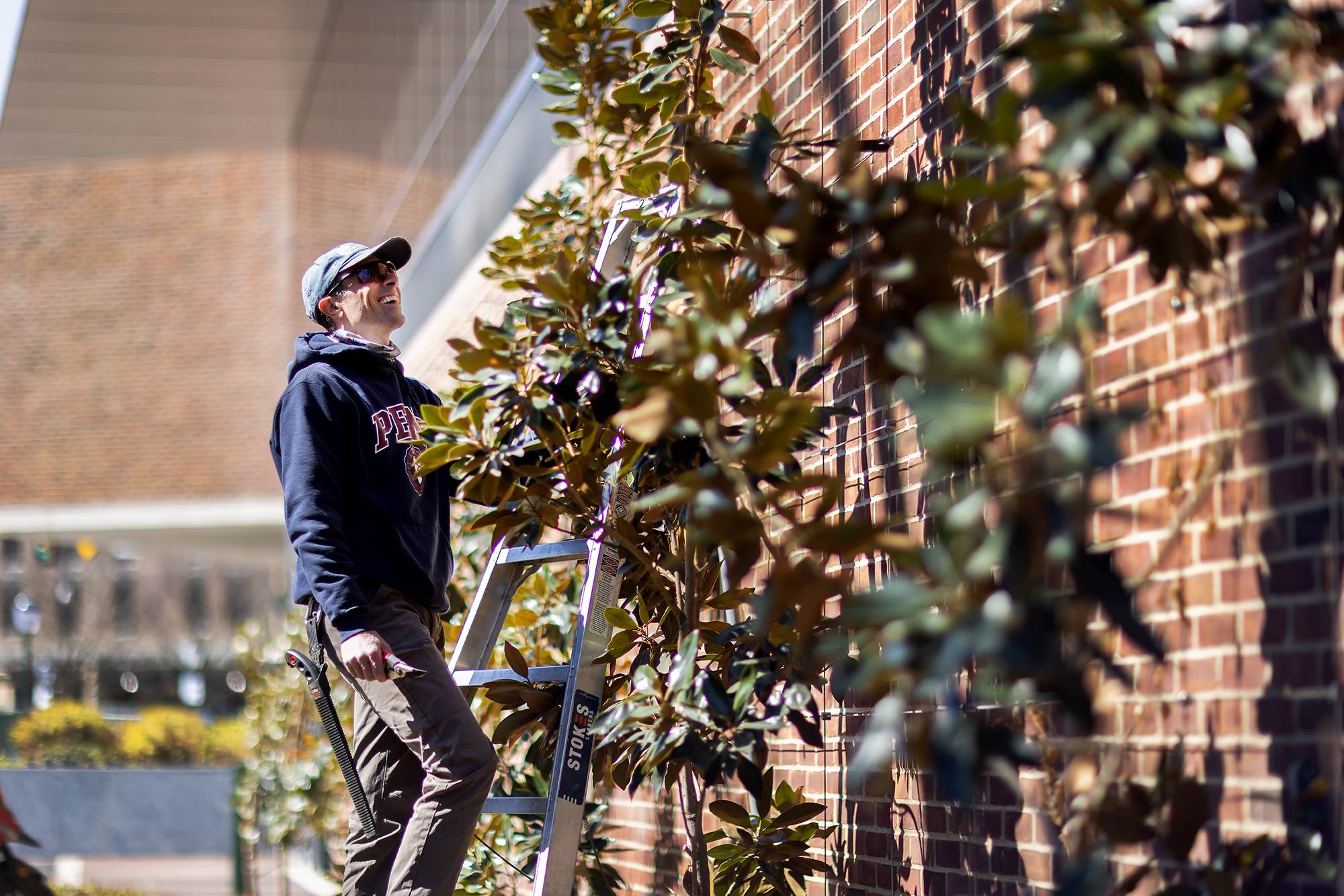 workers helping plan climate adapting trees along a building