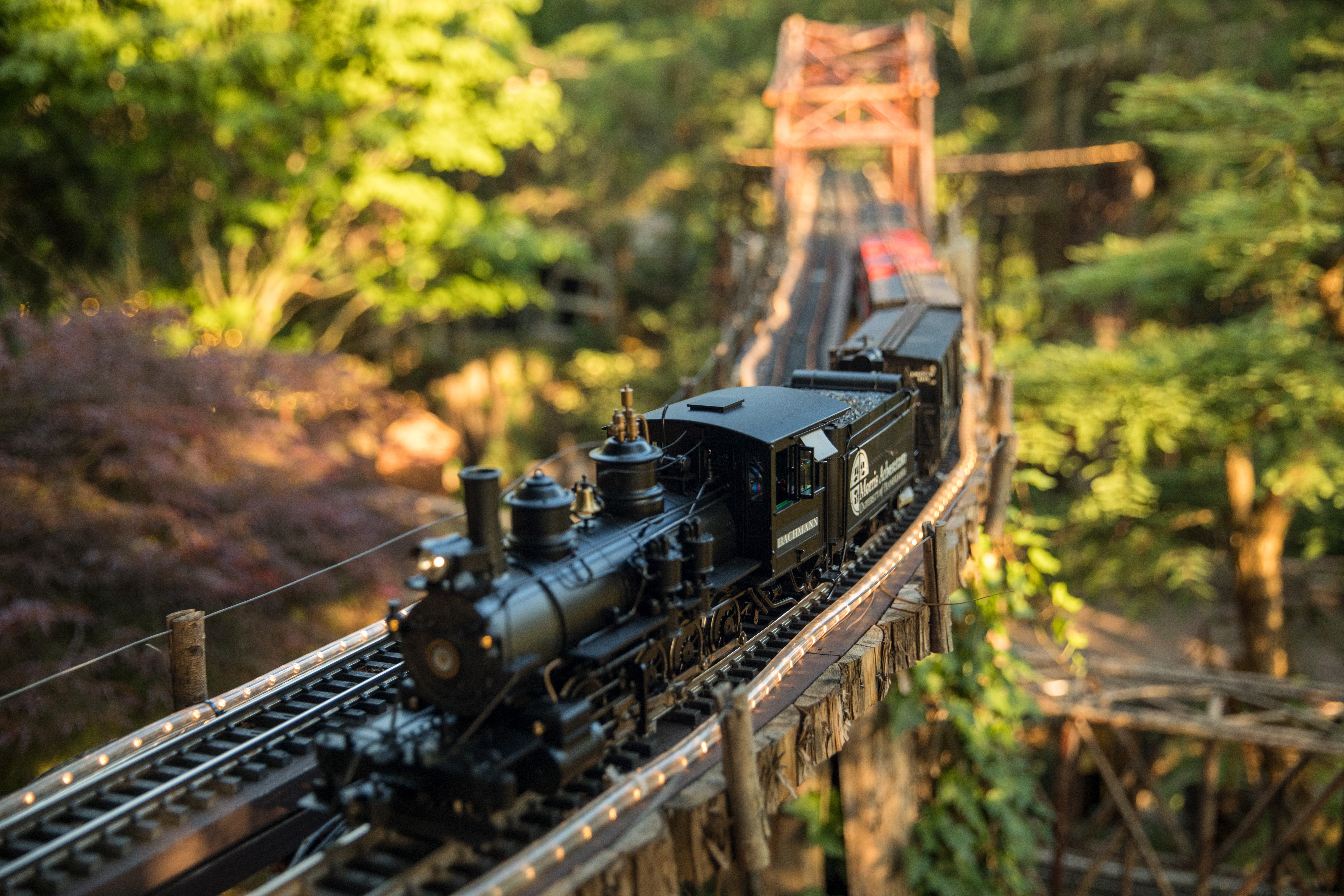 A miniature train that reads 'Morris Arboretum' on its side, surrounded by trees and foliage.