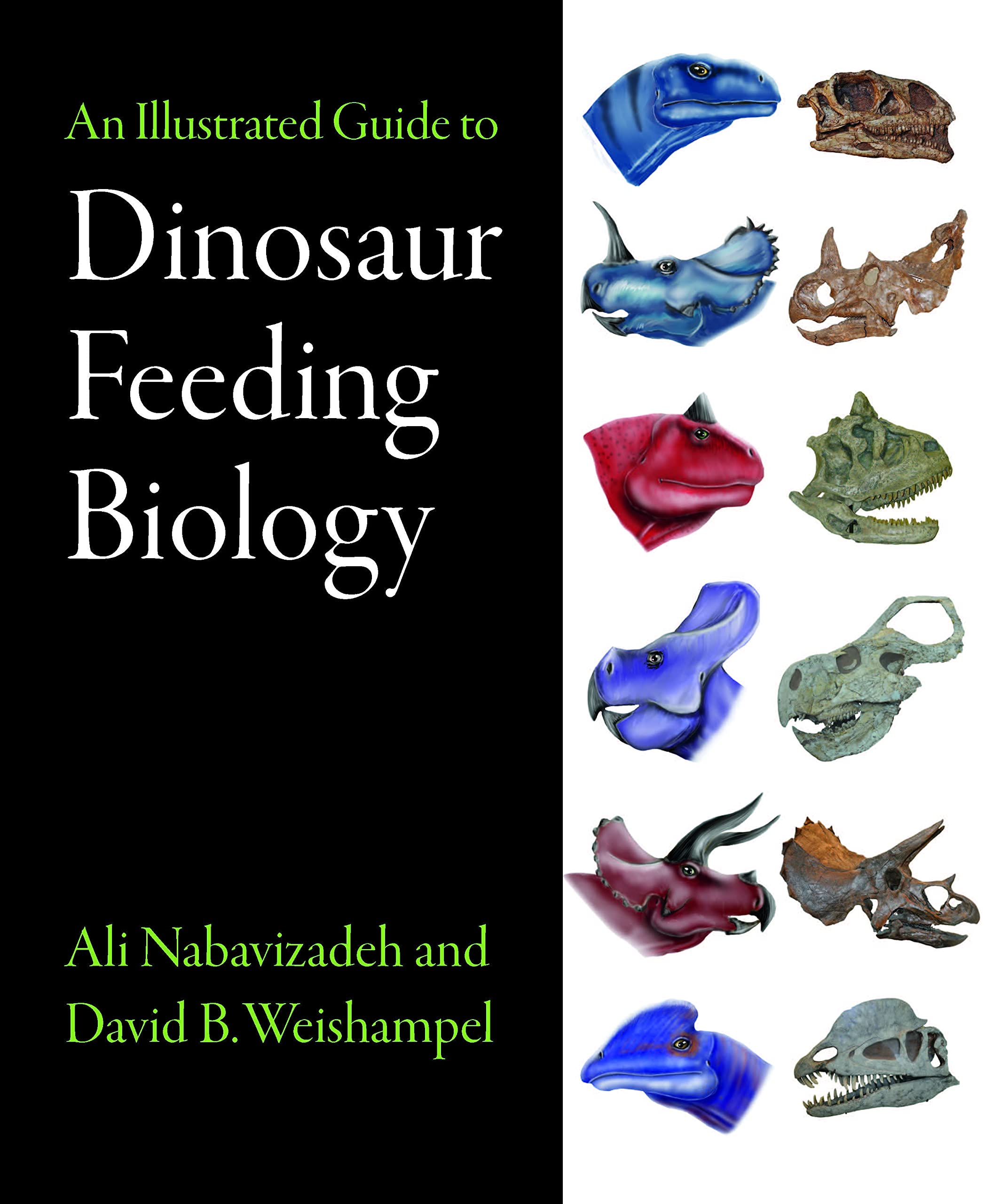 Book cover of An Illustrated Guide to Dinosaur Feeding Biology by Ali Nabavizadeh and David Weishampel