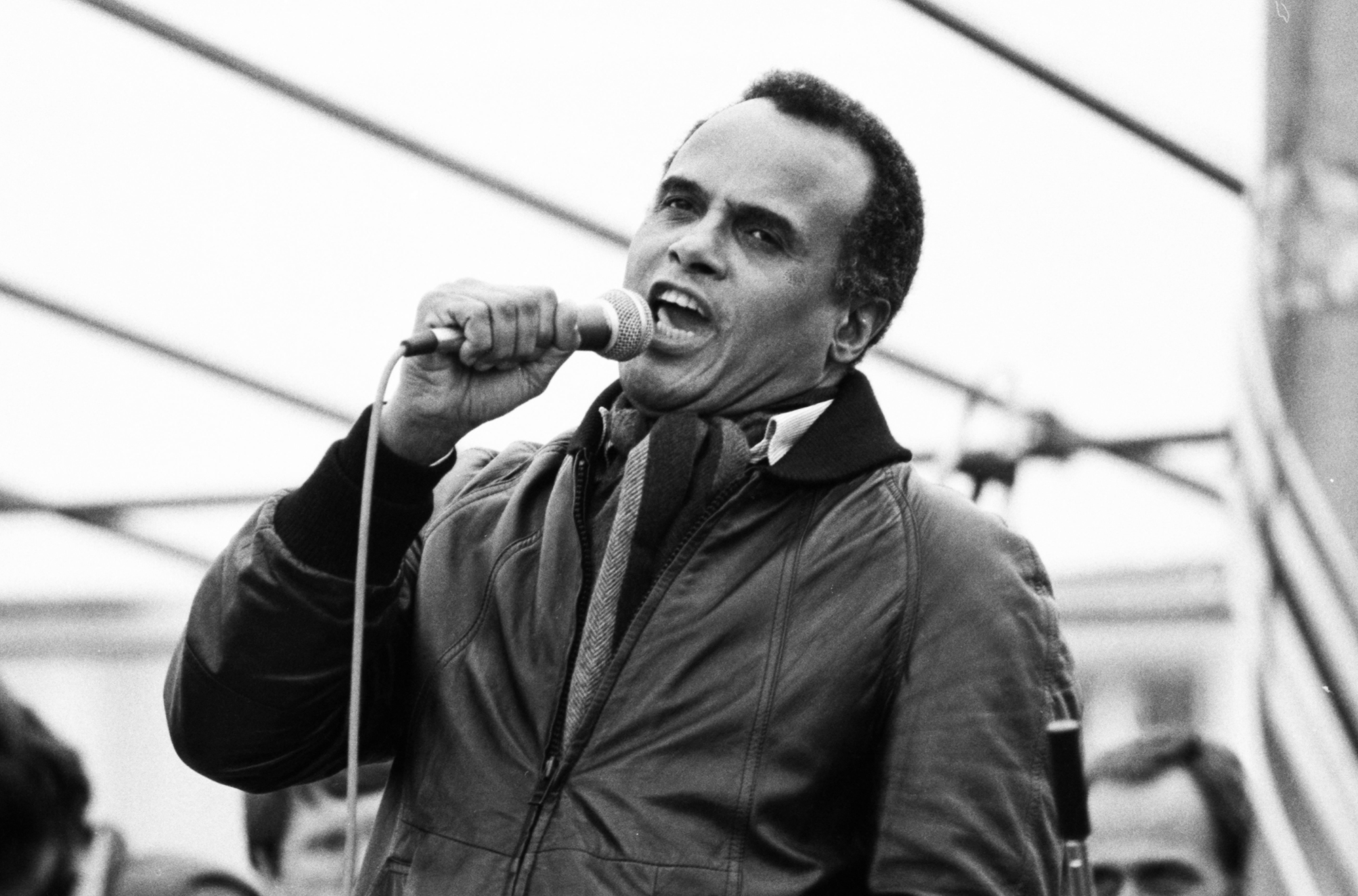 Harry Belafonte in 1981.