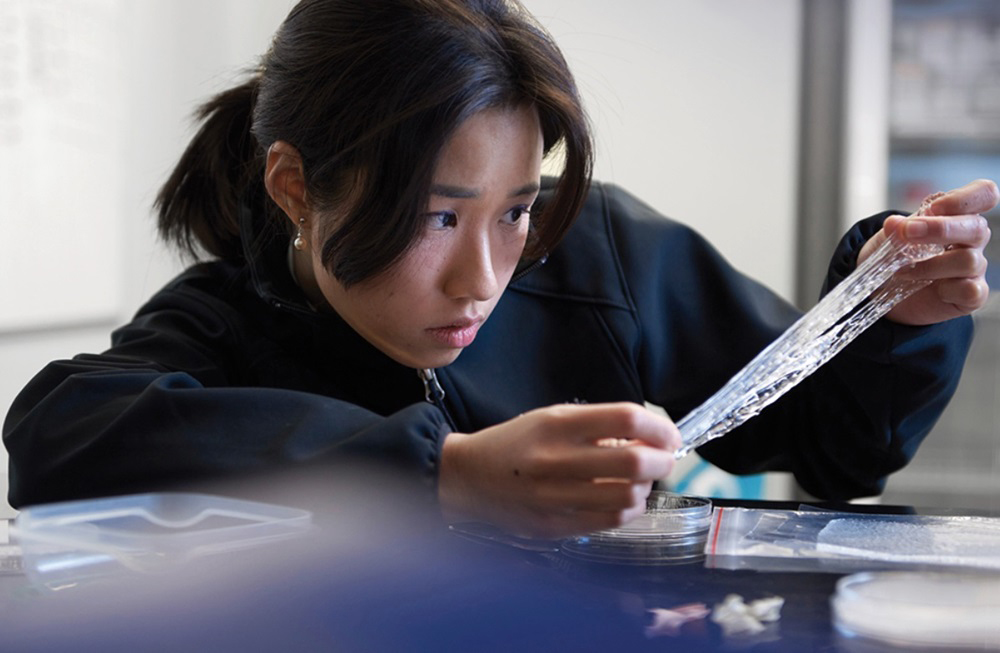 Tiffany Yeh holding up a sheet of transparent material.