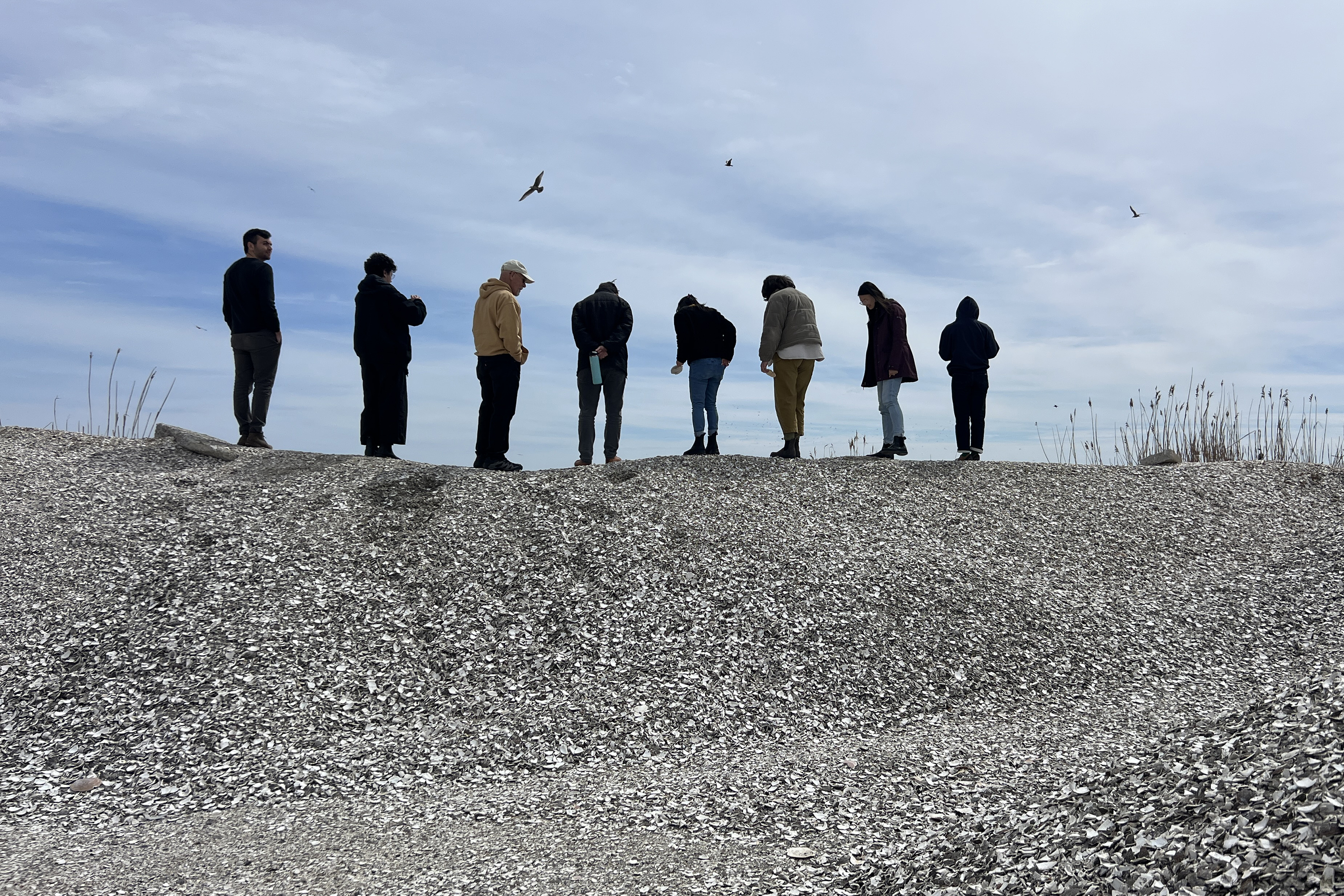 students standing on a hill of seashells