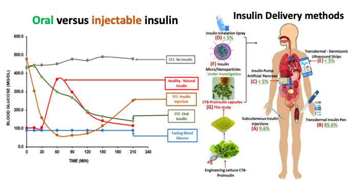 Two graphics showing oral versus injectable insulin and insulin drug delivery methods. 