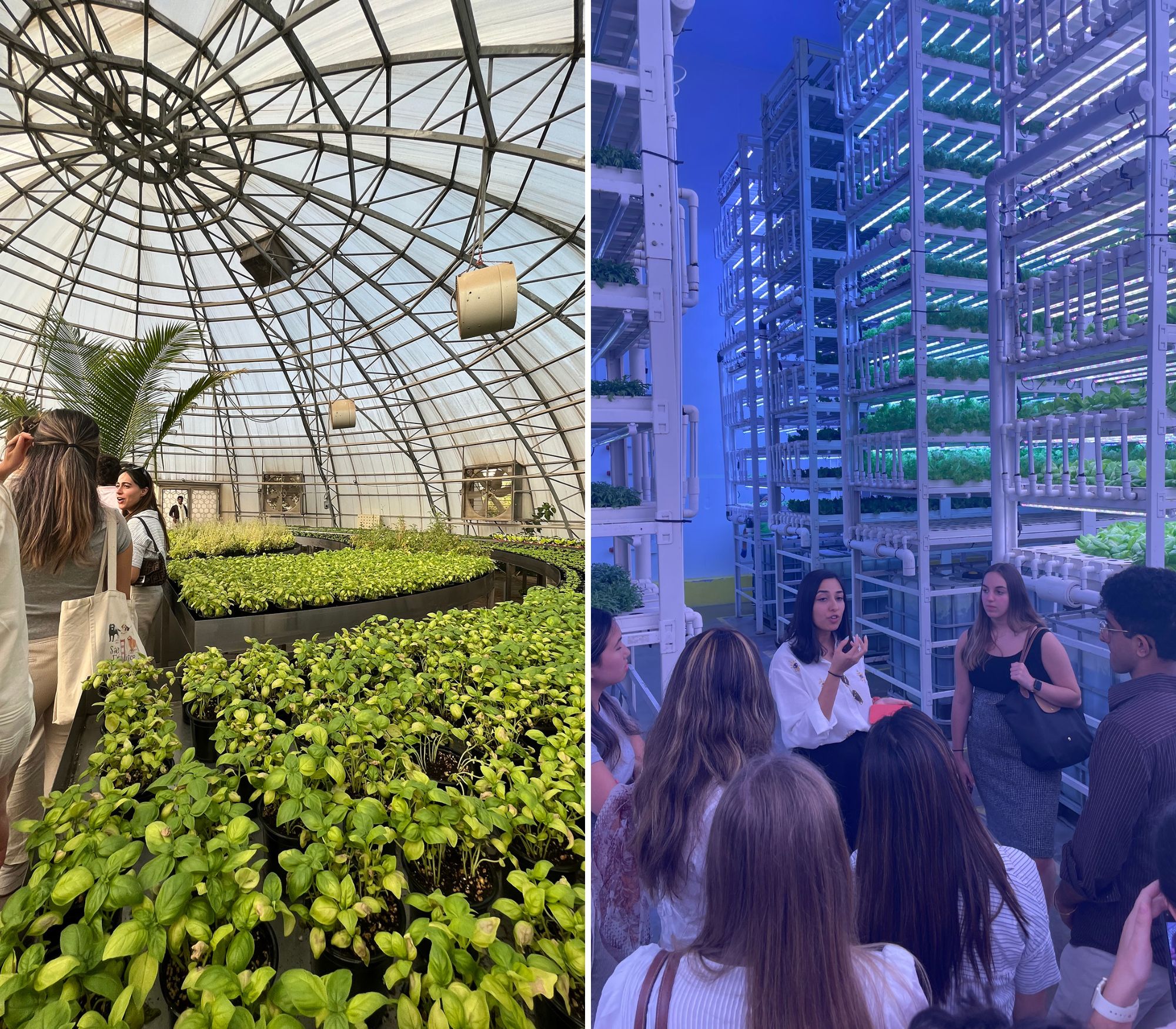Left, a greenhouse dome with many plants growing. Right, a group of students in a greenhouse with vertical stacks of greens growing.