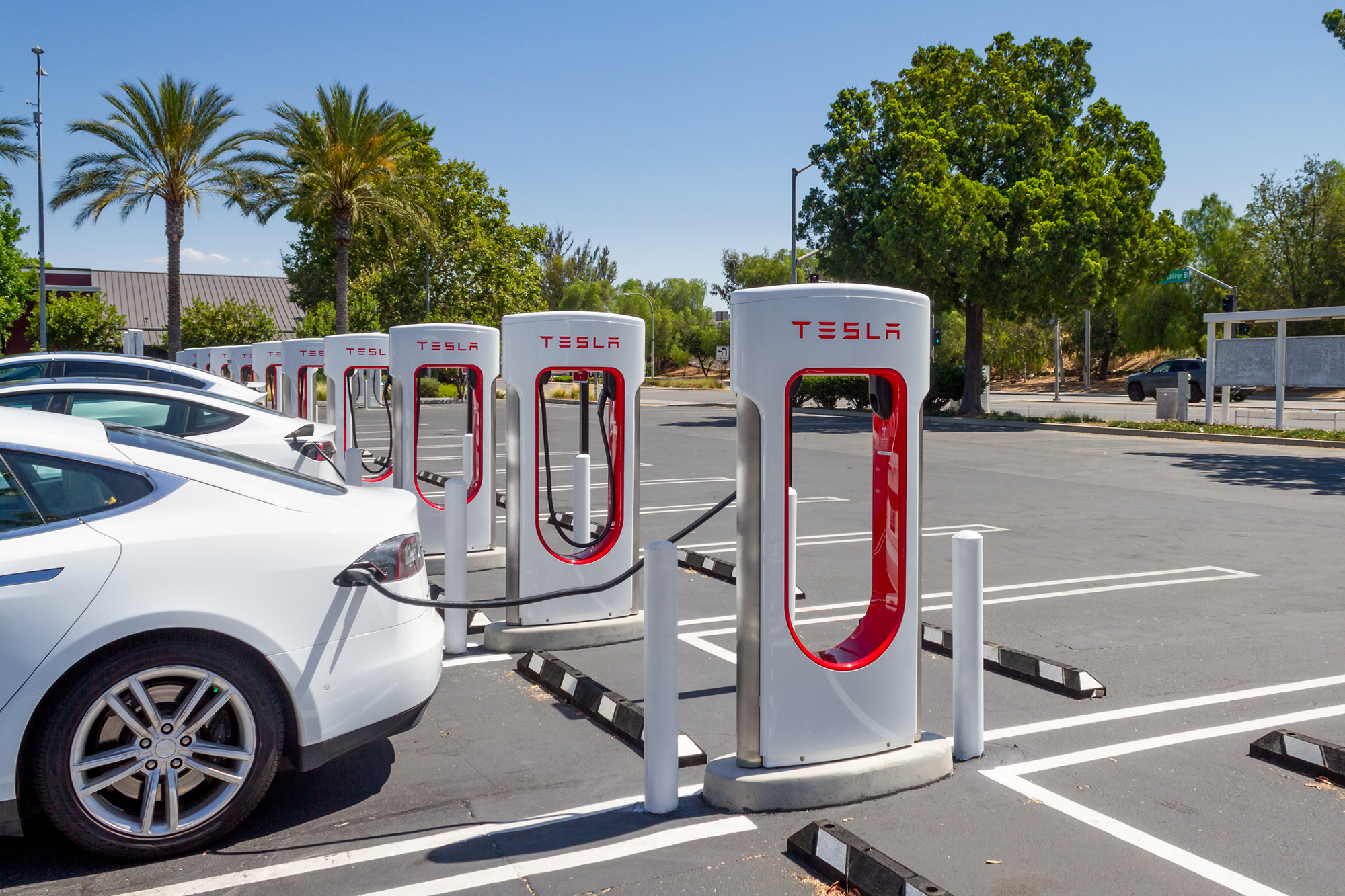 Tesla charging stations lined up in a parking lot. 