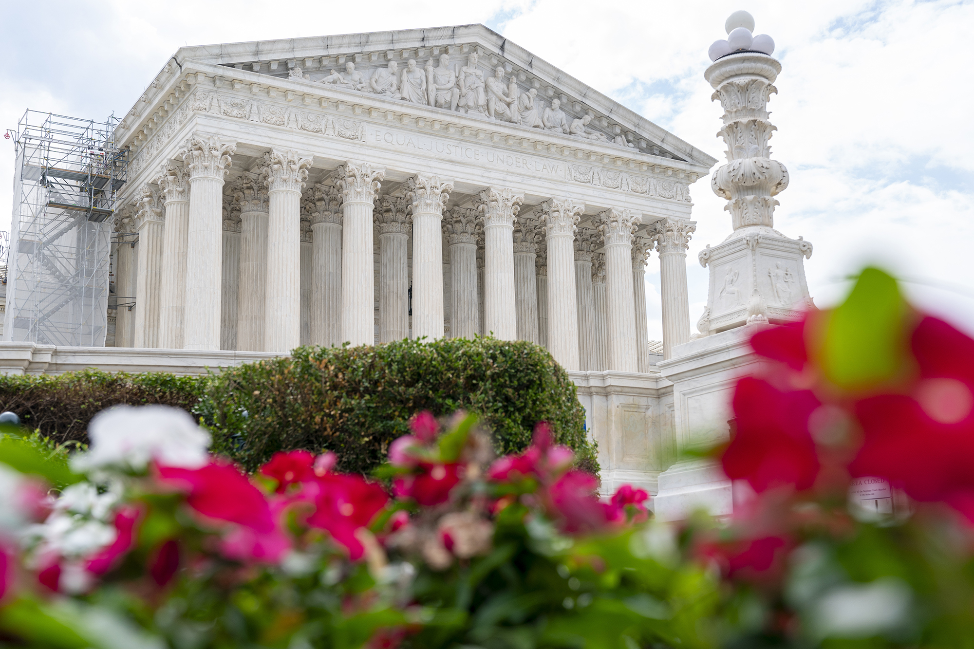 The United States Supreme Court is seen behind pink and white flowers.