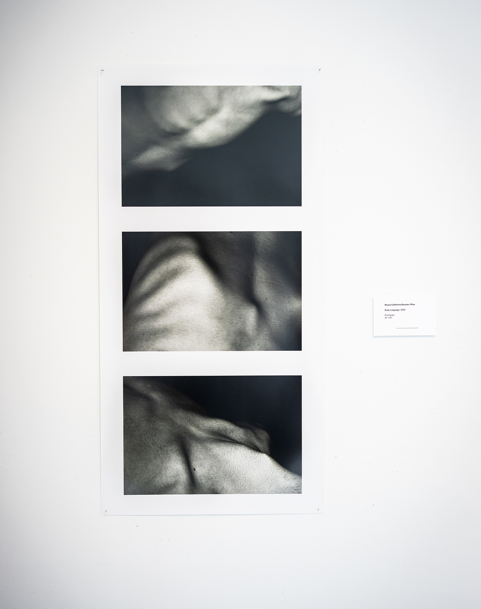artwork with three photographs of close ups of body parts out of focus