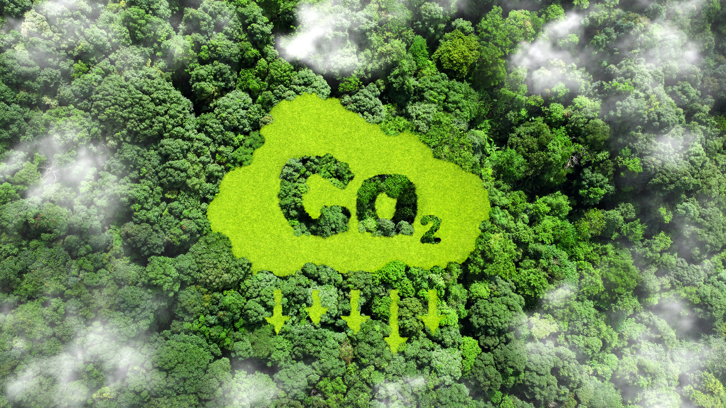 Green Gas or CO2 - the most important information