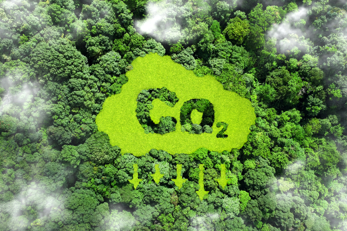Closing the carbon cycle with green propane production | Penn Today