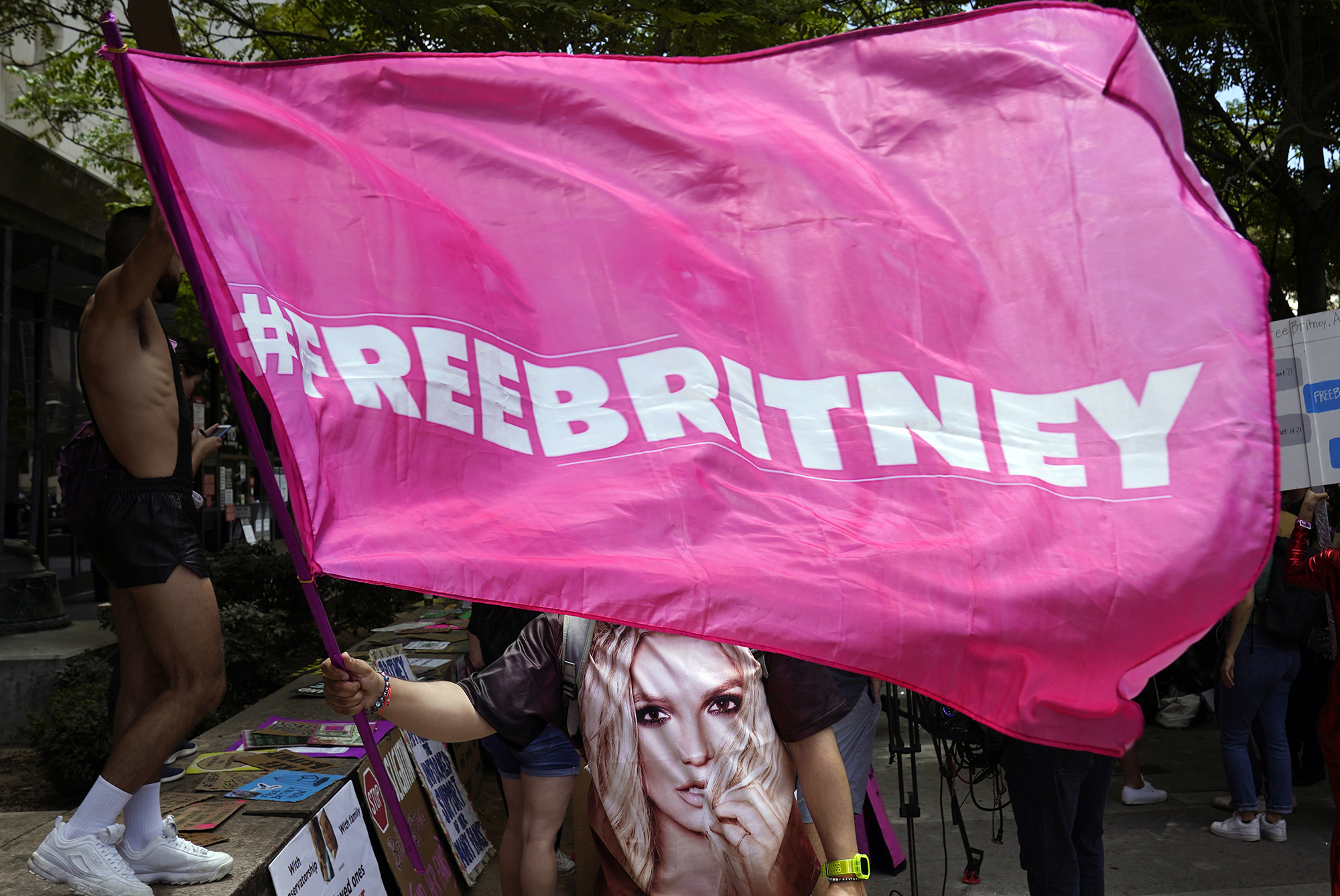 A person wearing a t-shirt with Britney Spears face on it holds a pink flag with the slogan #FreeBritney.