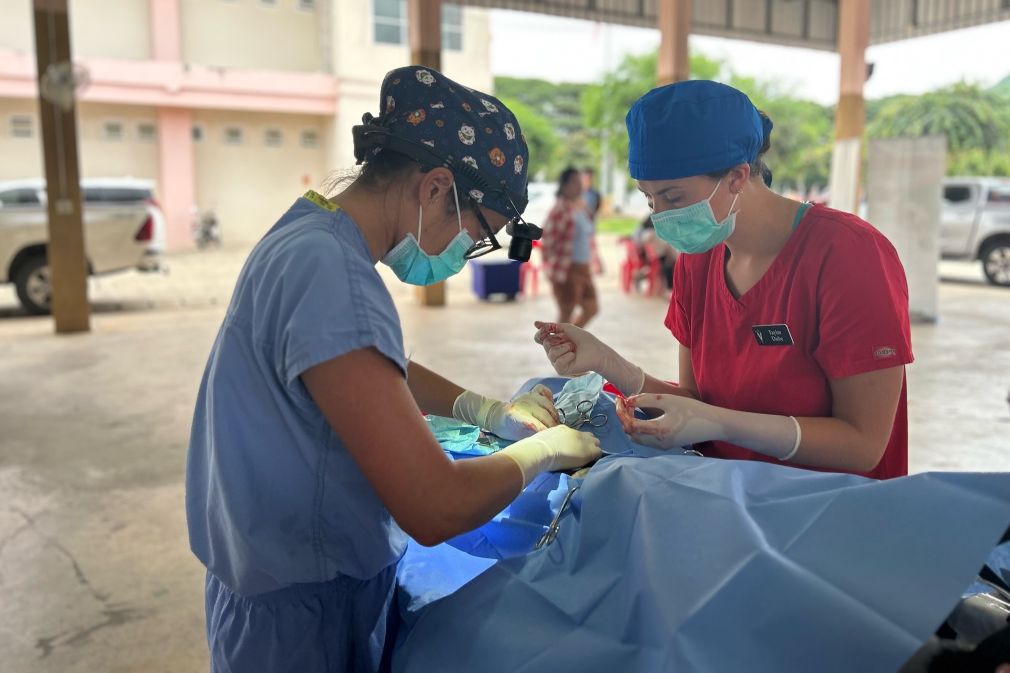 Allison Oakes and Taylor Dube performing surgery.