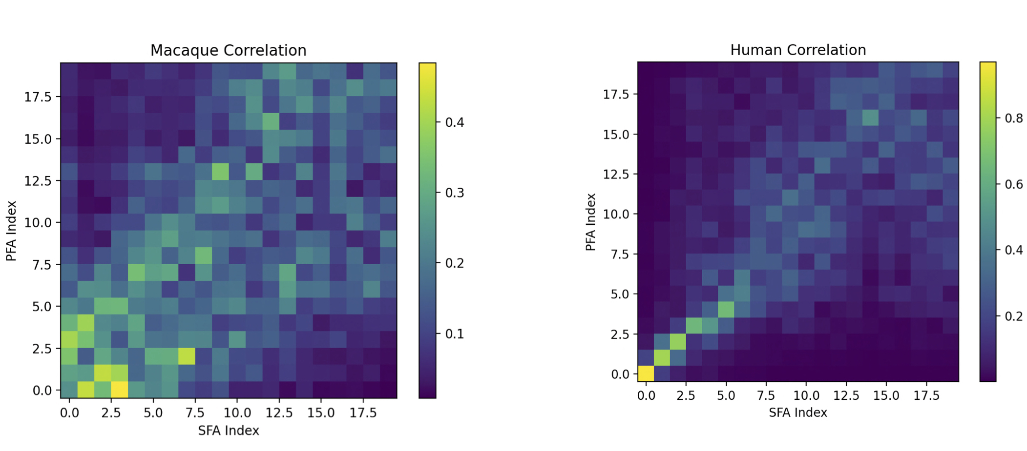Correlational heat maps of human and macaque slow feature analysis plotted against predictive feature analysis.