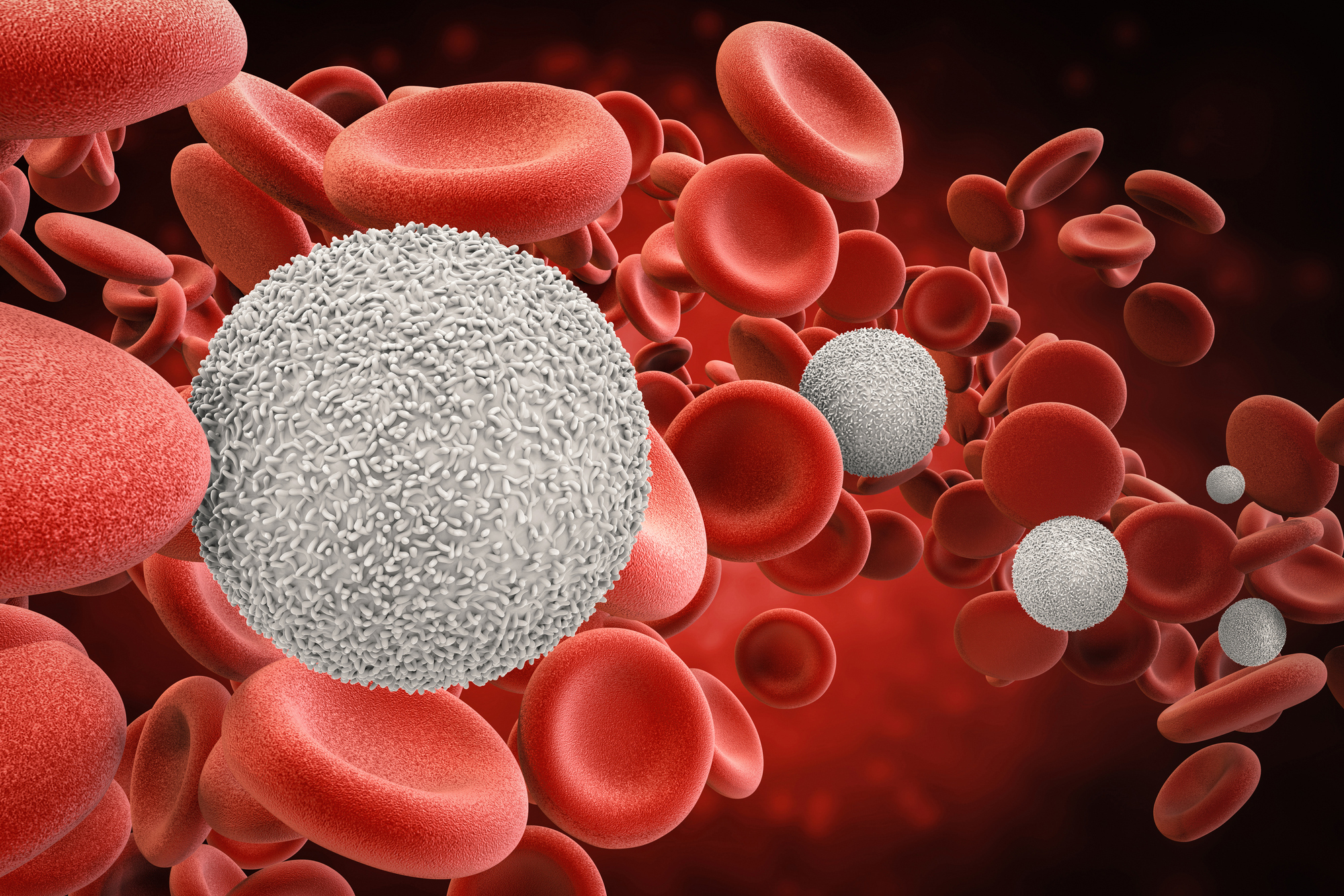 Microscopic rendering of a white blood cell amongst red blood cells.