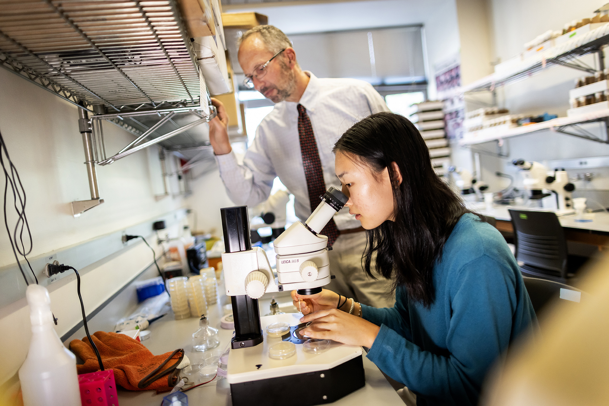 Researcher peering through microscope.