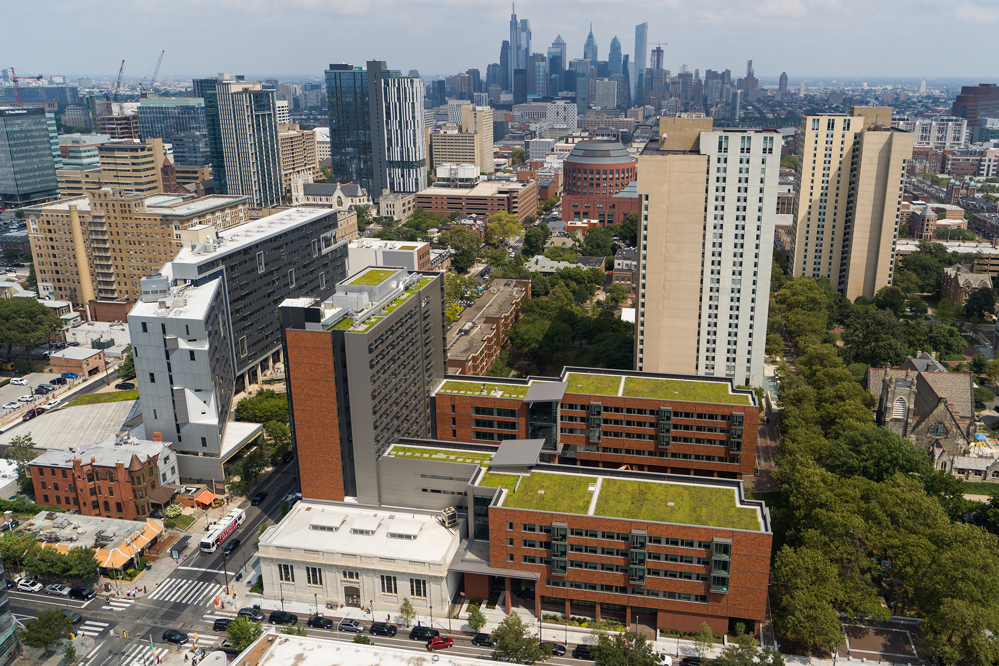Aerial view of green roofs at Penn.