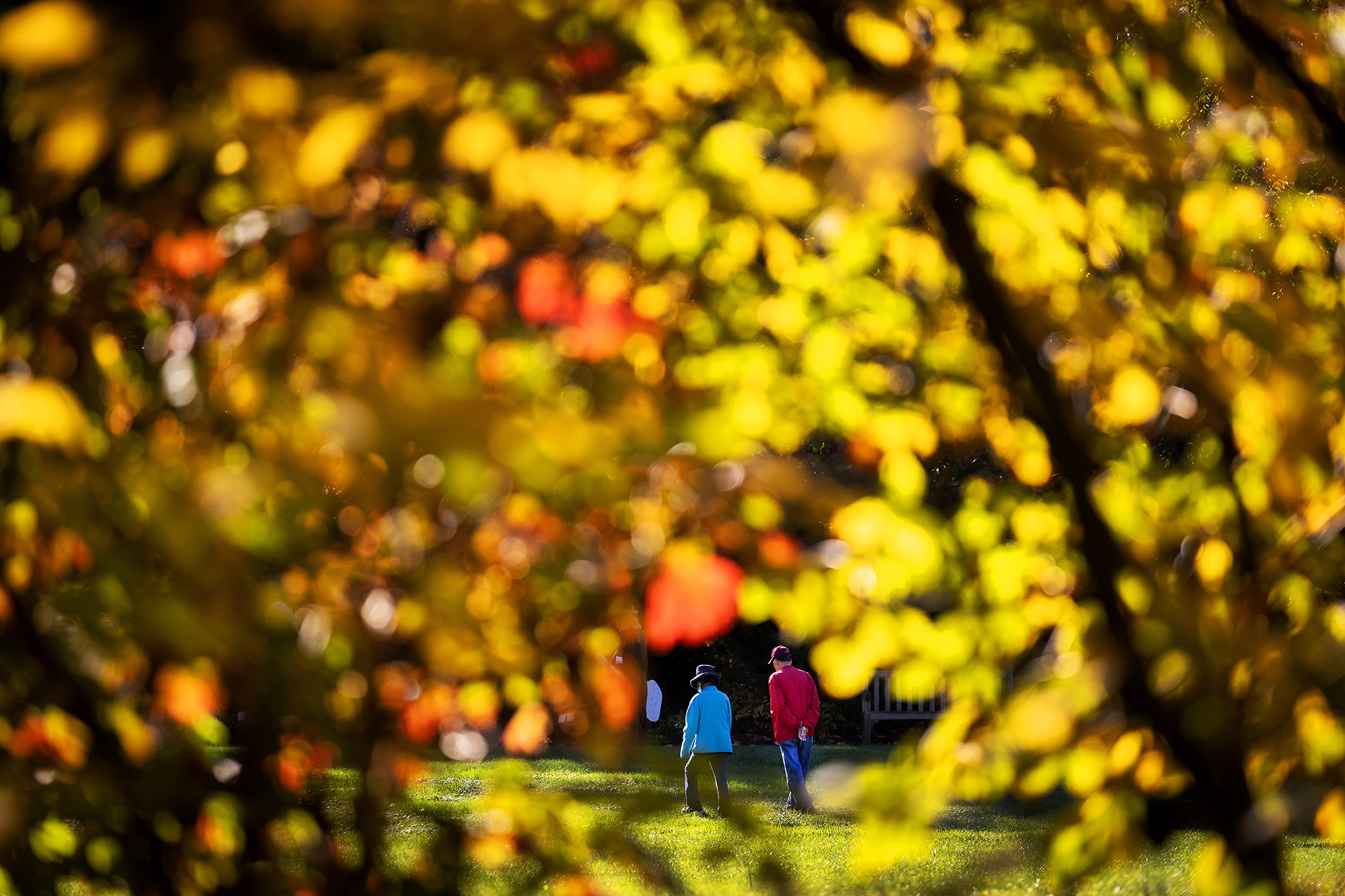 two people walking around morris arboretum