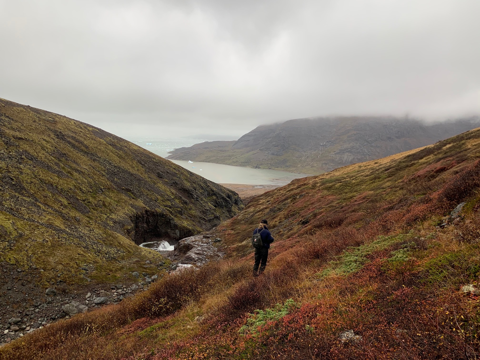 A lone hiker stands in a ravine leading down into a bay. The landscape is treeless, covered with brush and lichen. The weather is grey and foggy. 