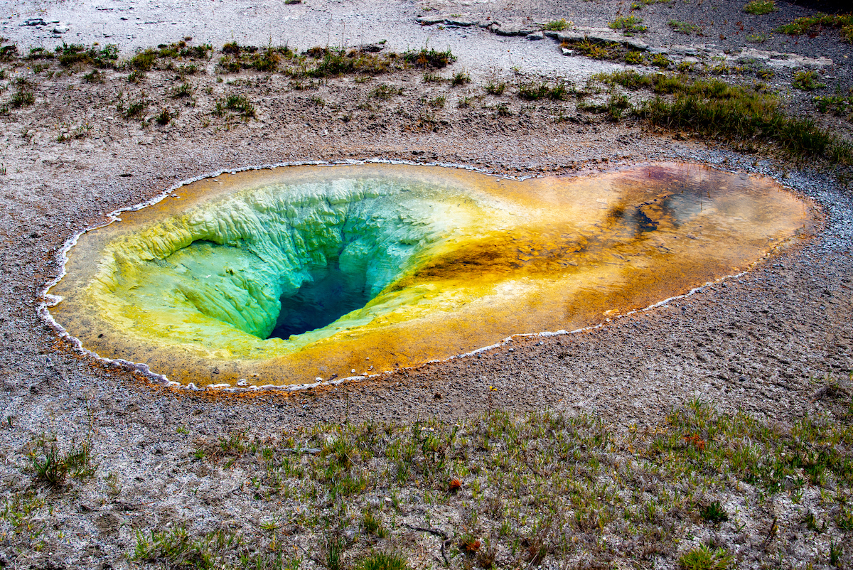 Archaea Yellowstone National Park Official site