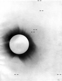 Negative photo of 1919 total eclipse.