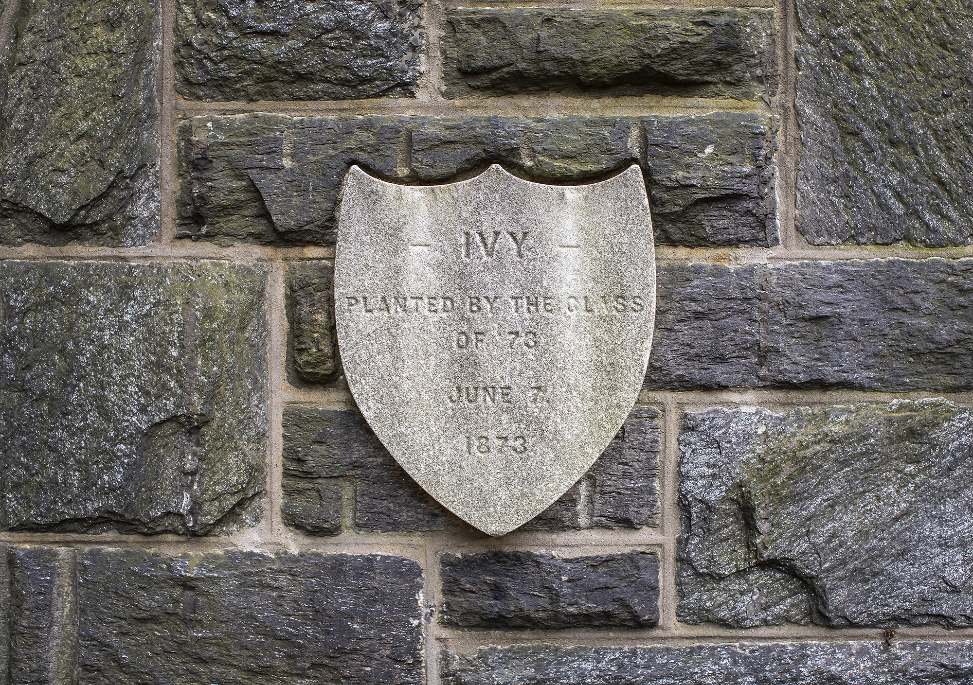 The original Ivy Stone from 1873 and in the shape of a shield is seen on Penn's College Hall.