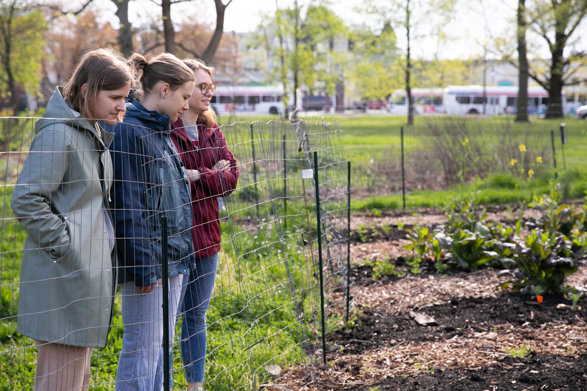 Three Penn students at an urban farm site.