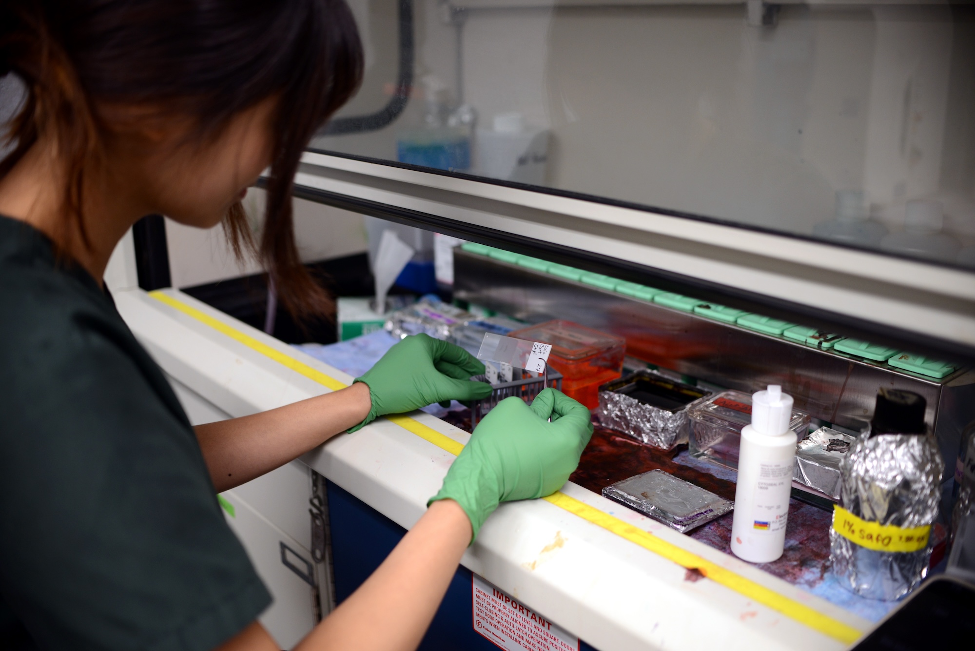 Sidney Wong works under the hood in a lab.