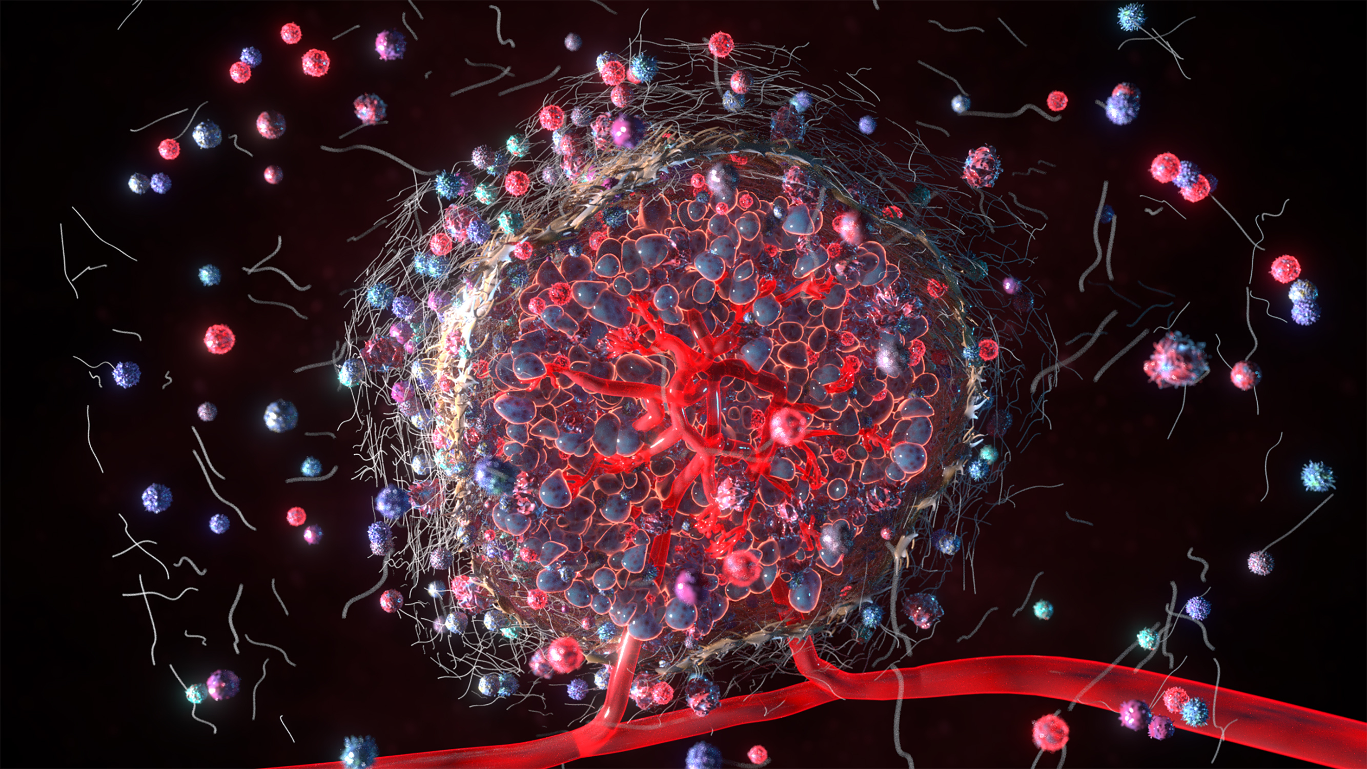 Tumor microenvironment.