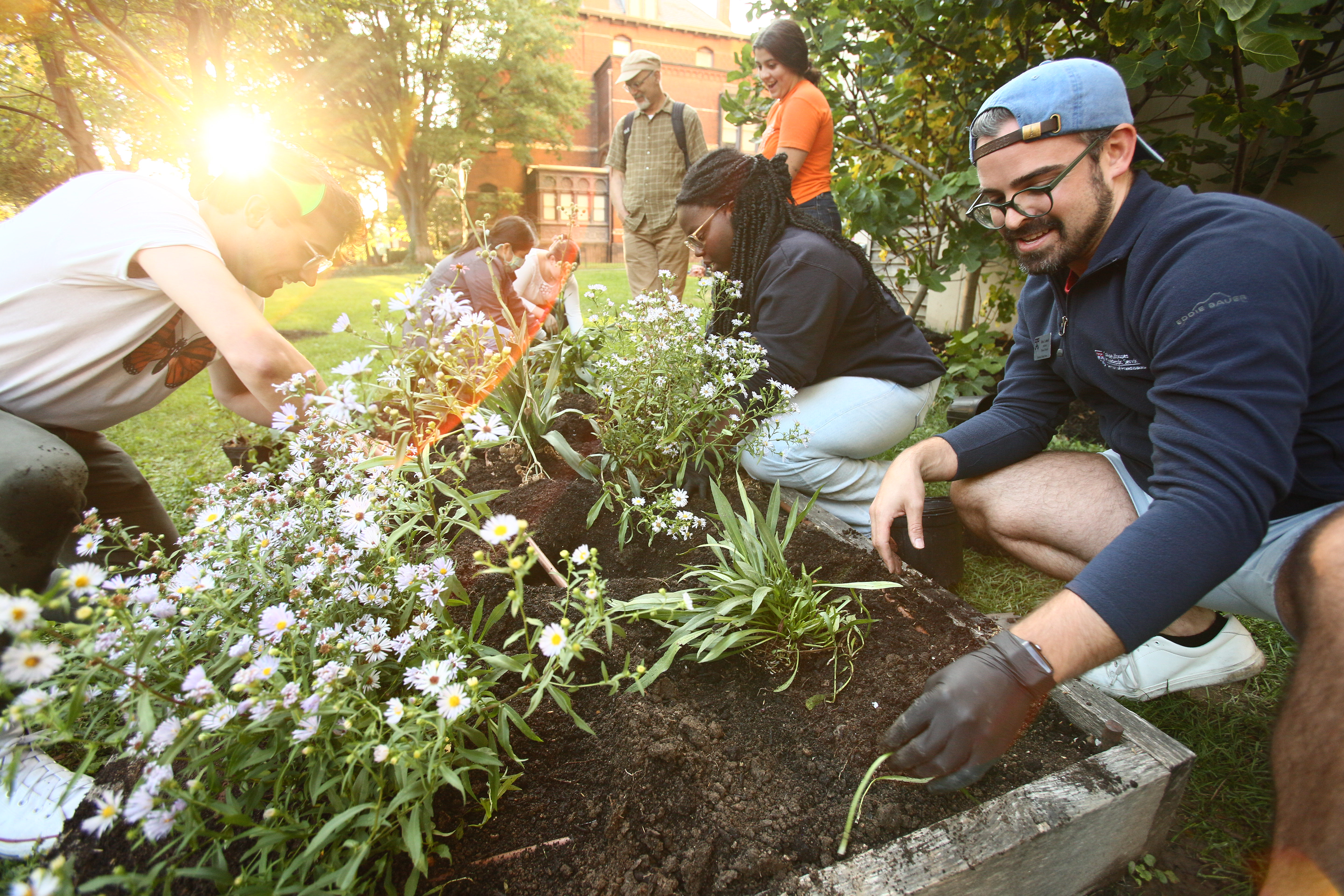 Volunteers planting asters on Penn’s campus.