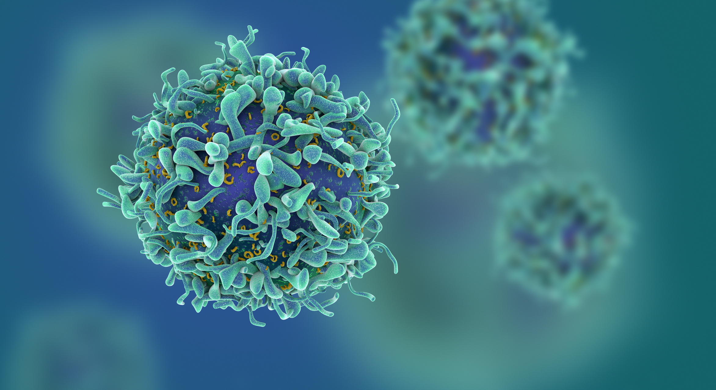 Rendering of T cells.