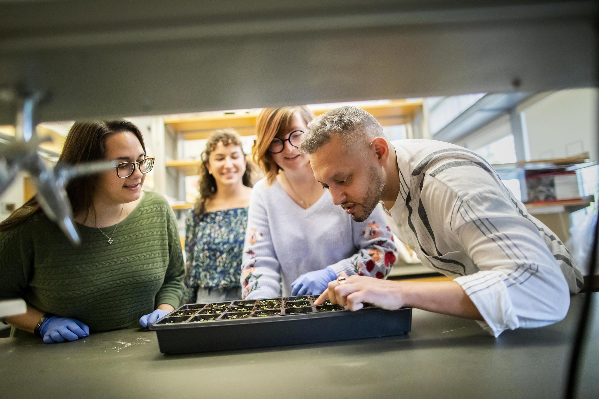 Researchers inspect plant samples in a laboratory.