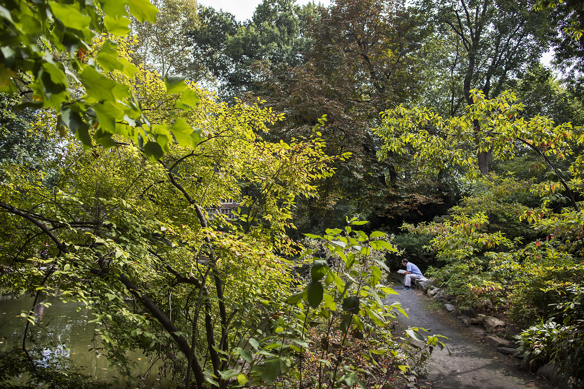 A person reading a book at Penn’s Biopond.