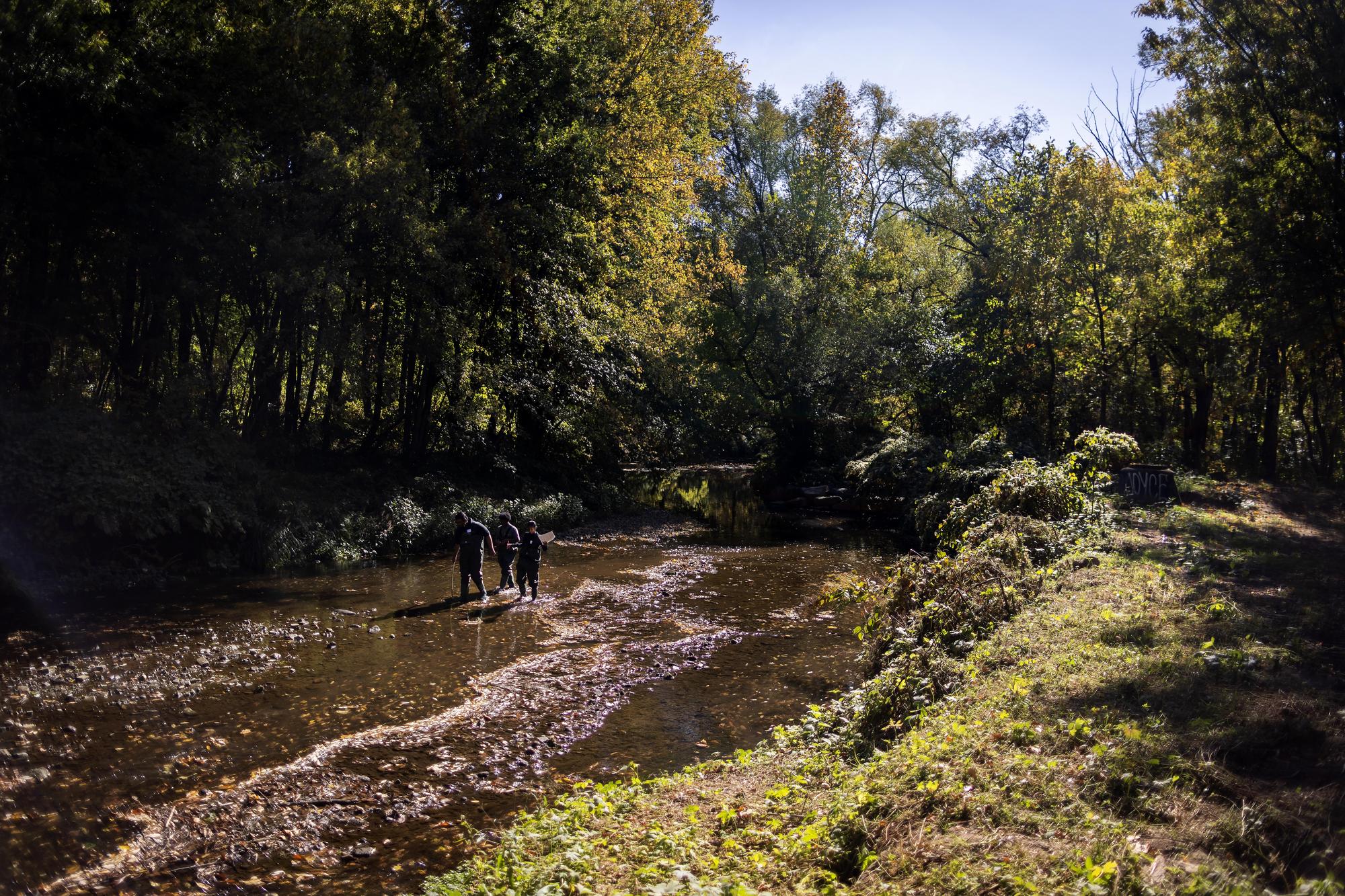 Penn Netter Center students and Sayre High School students wade through a river in Cobbs Creek.