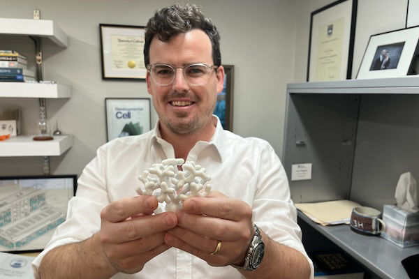 Alex Hughes holding a model of kidneys in his office.