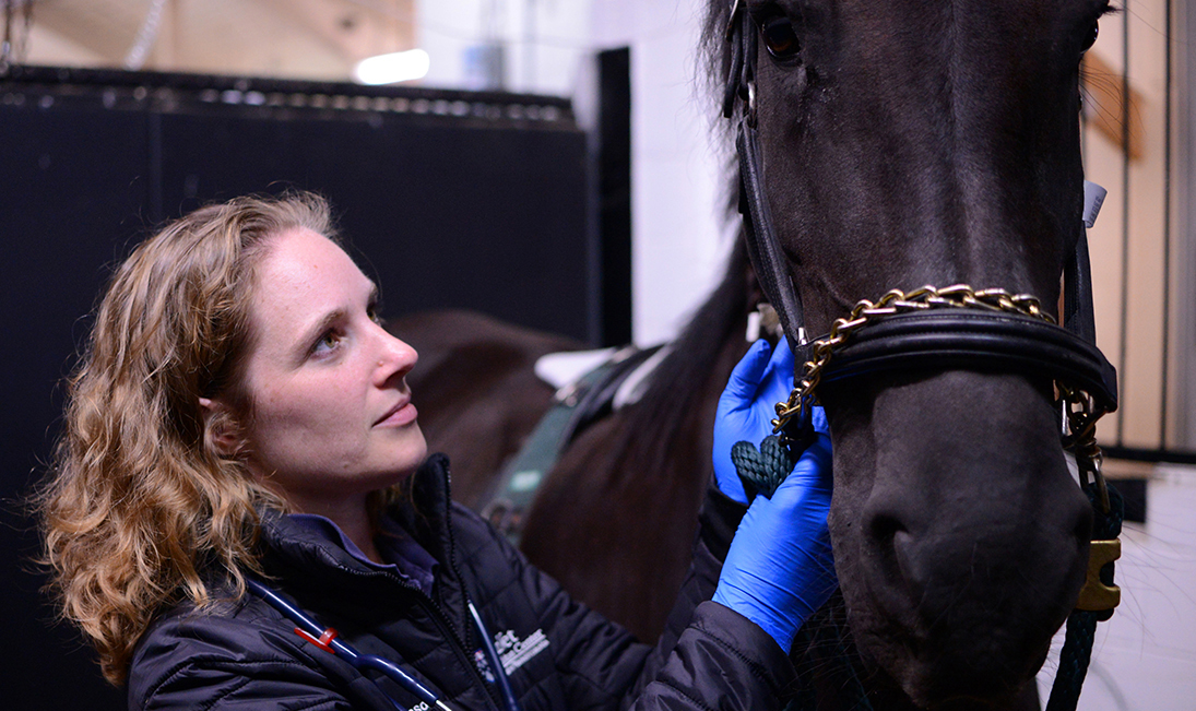 Joy Tomlinson petting Milena the horse.