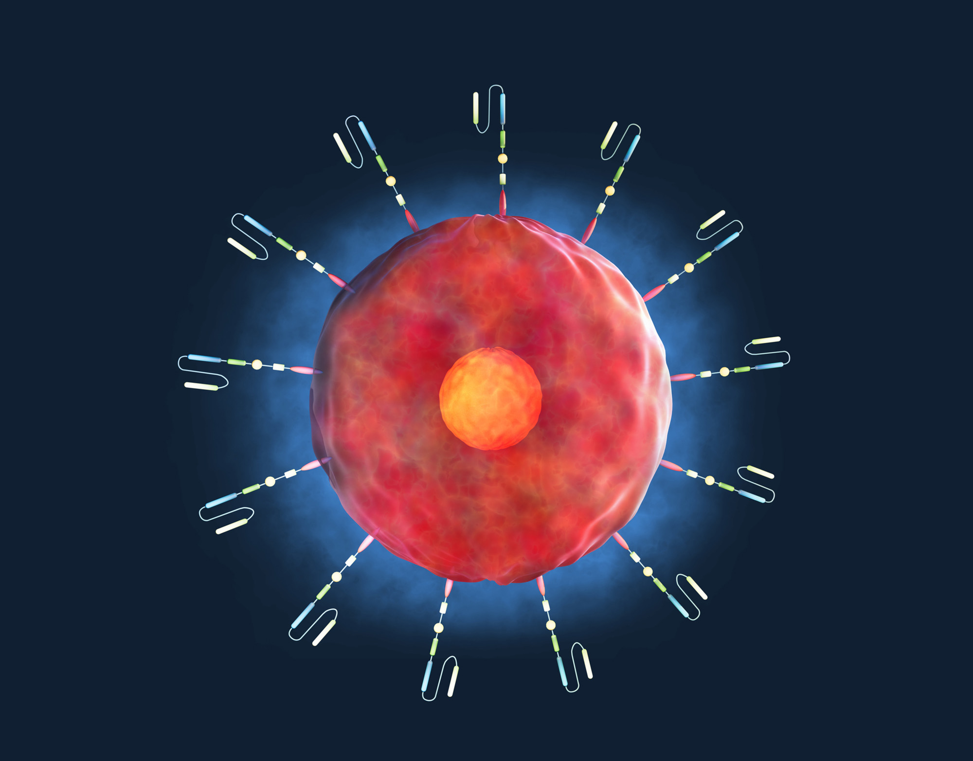 3-D rendering of chimeric antigen receptor T (CAR-T) cell therapy, a treatment for a variety of cancers