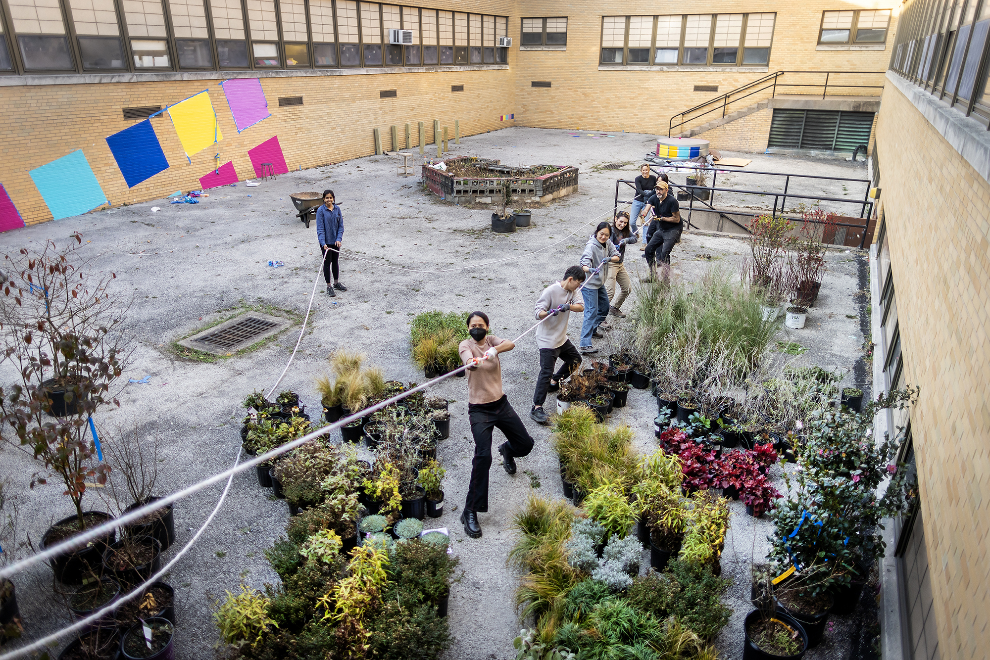 People pull ropes in an outdoor garden at Sayre High School.