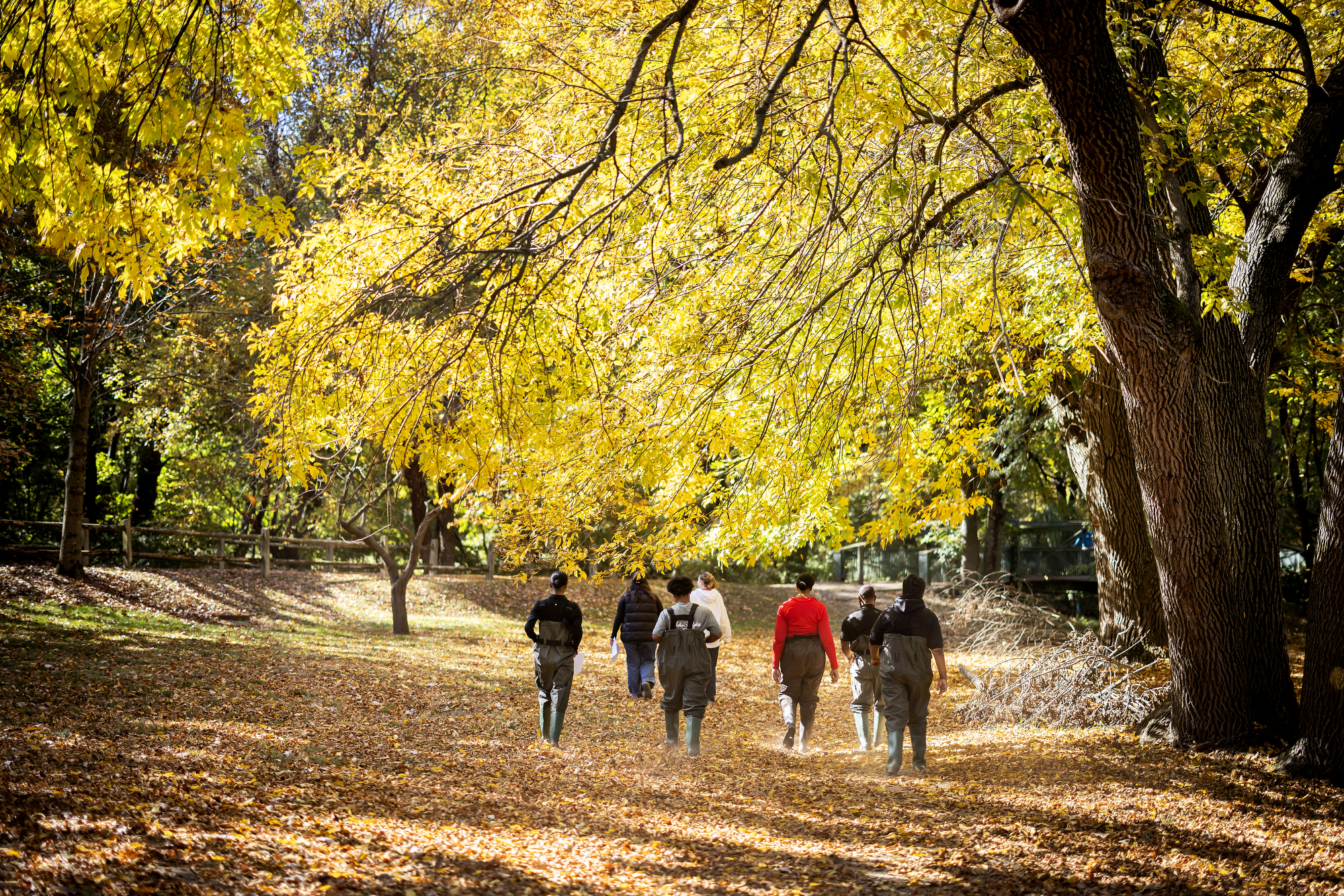 sayre students walking through nature