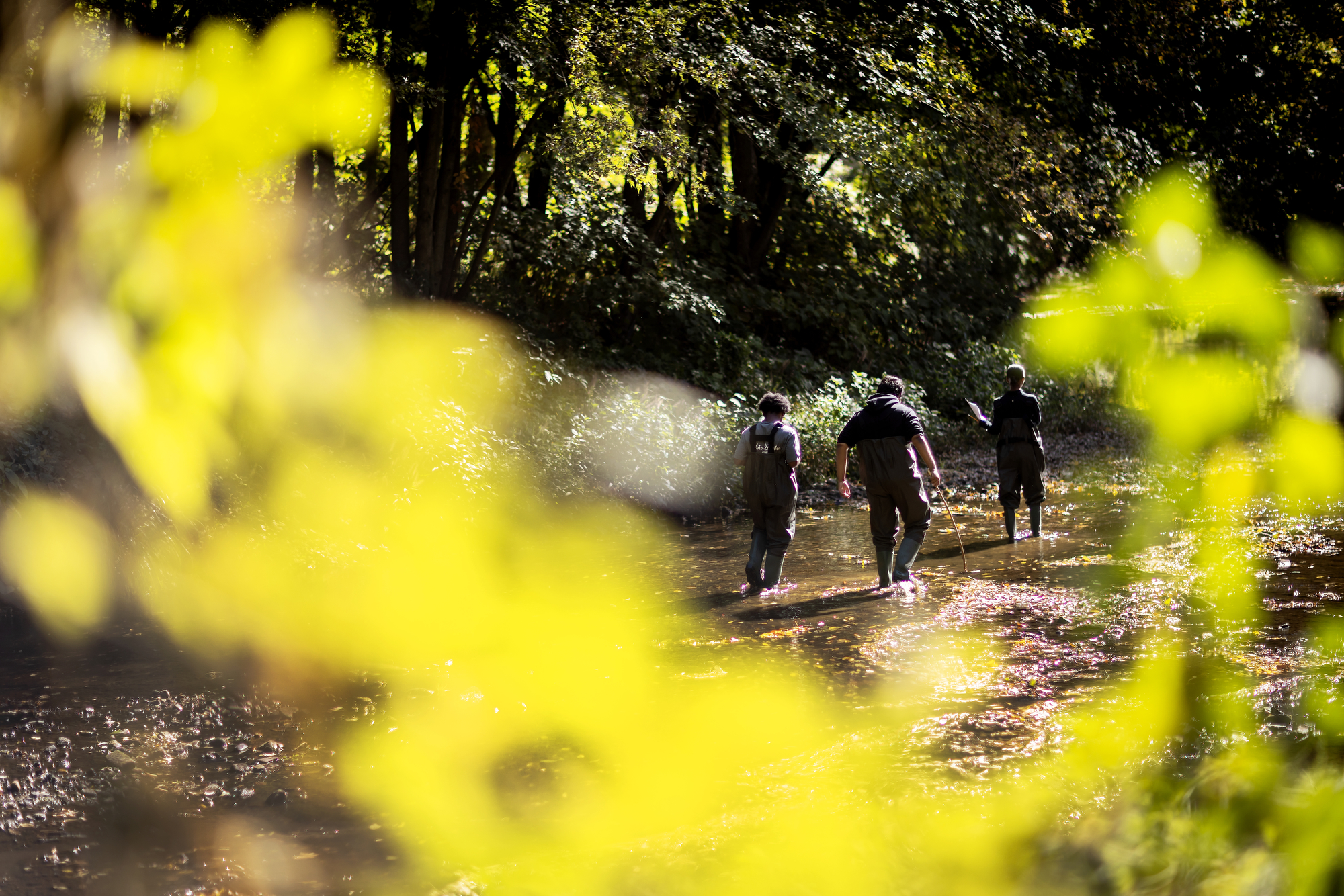 students wading through a river in autumn light