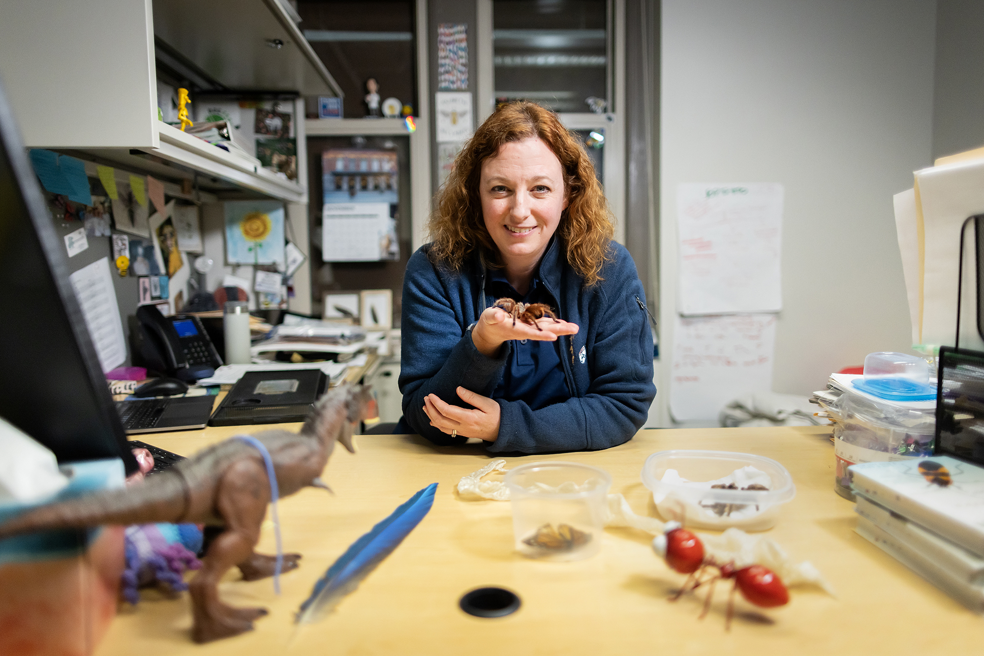 Karen Verderame sits at her desk holding a tarantula. 