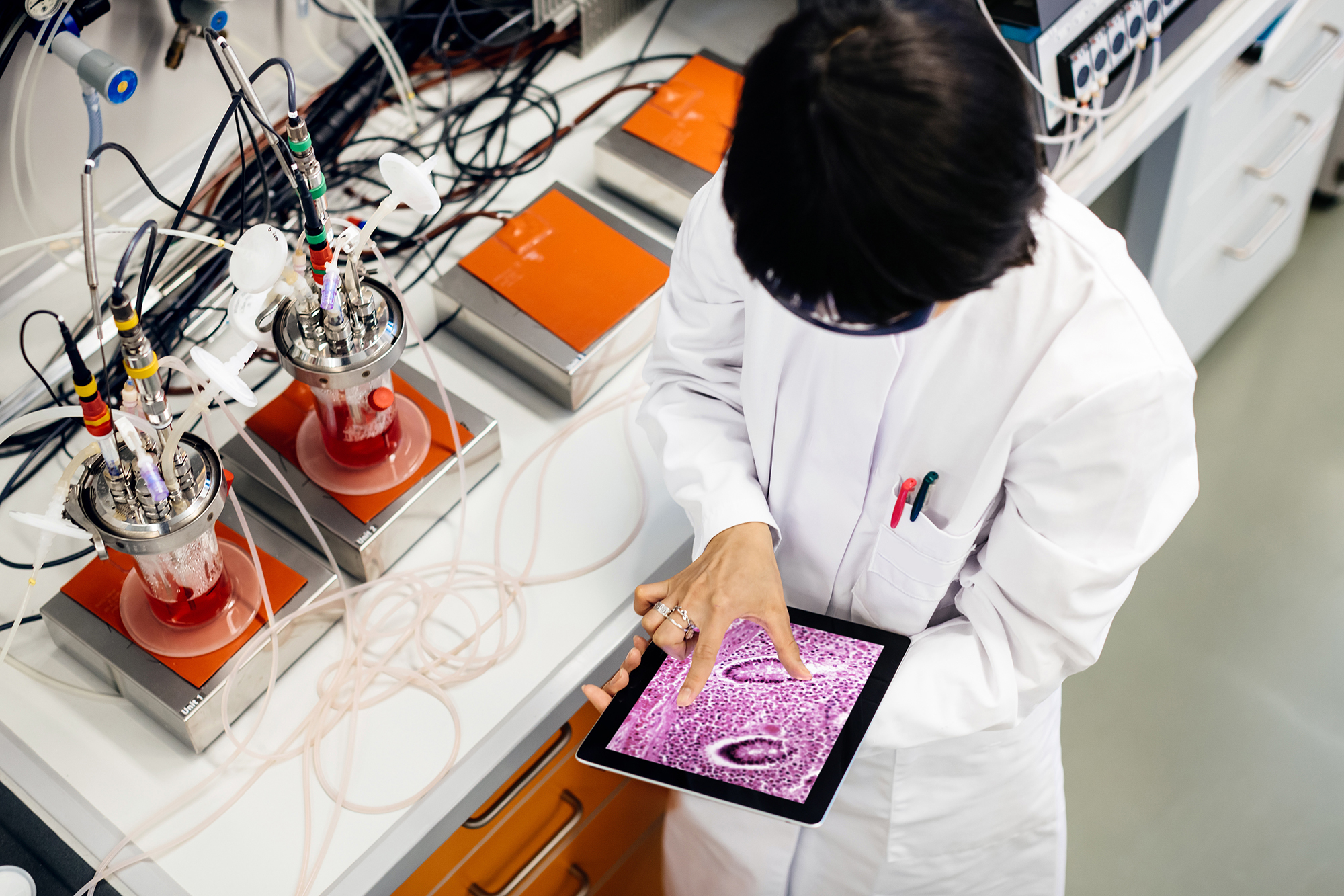 Scientist works on tablet computer in a lab.