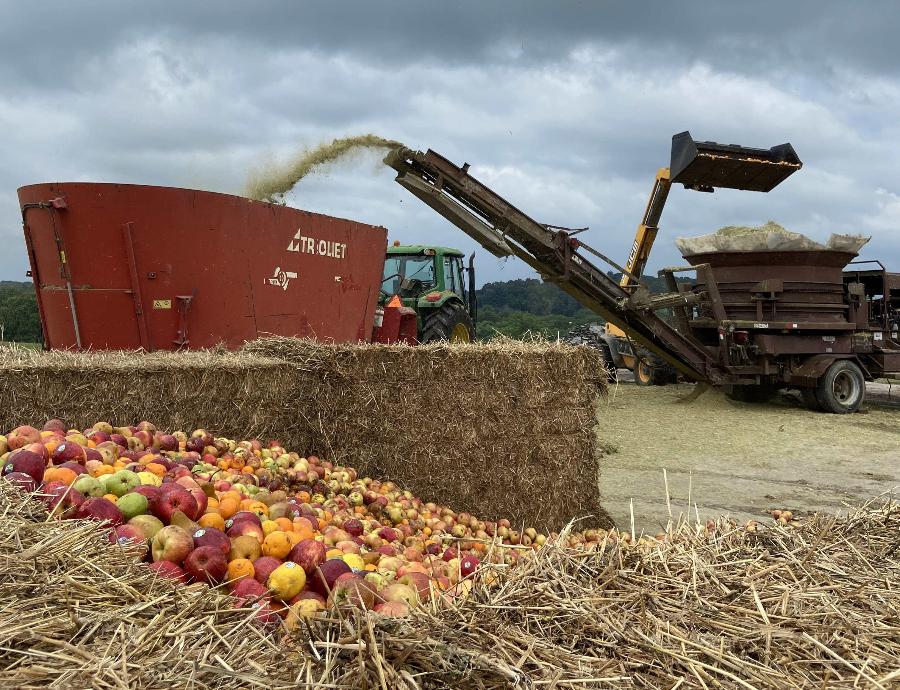 A large pile of apples on a farm.