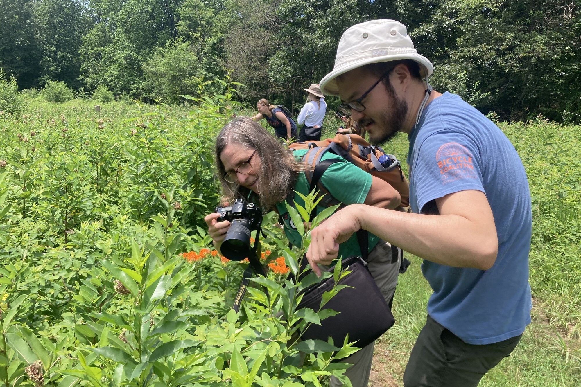 Five people in a meadow, one is taking a photo of a plant.