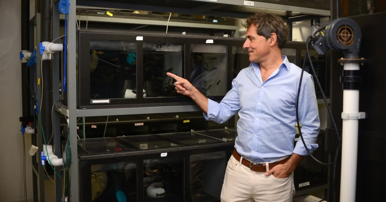 Oriol Sunyer pointing to rainbow trout, the fish species used for the reported study.