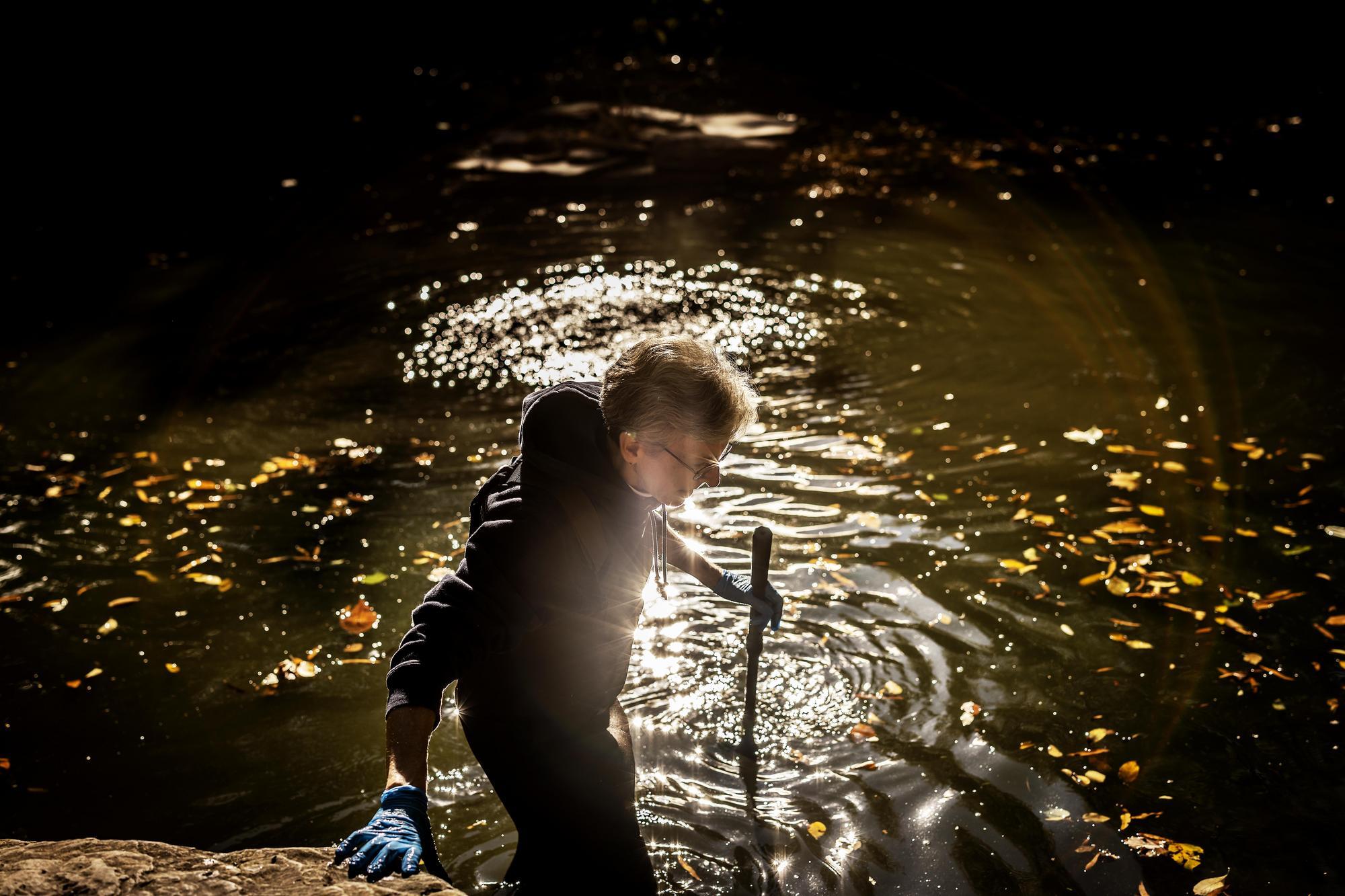 A person cleaning the BioPond during Penn’s BioBlitz.