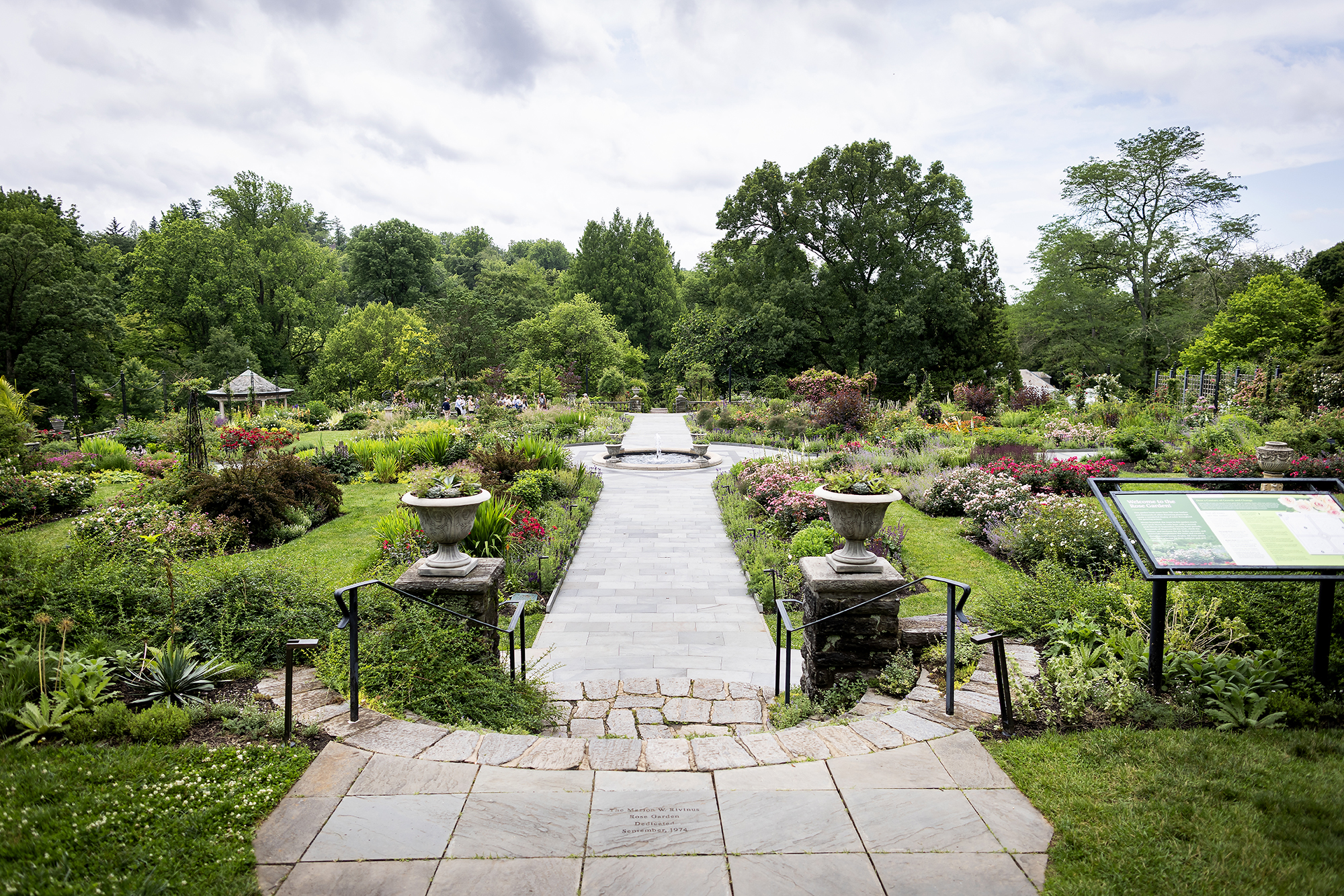 The rose garden at the Morris Arboretum.
